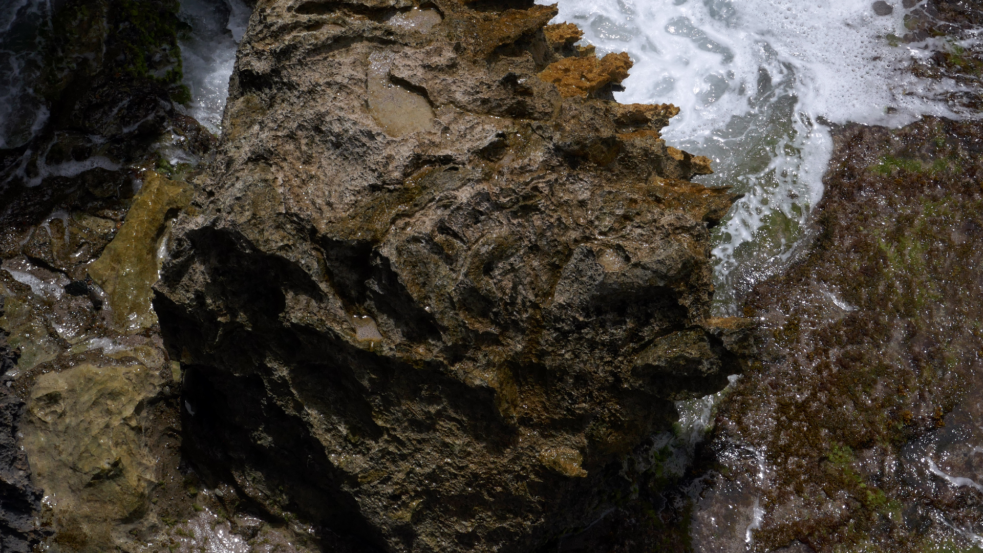 2022-04-23 Shete Boka Nationalpark (Foto, Video)