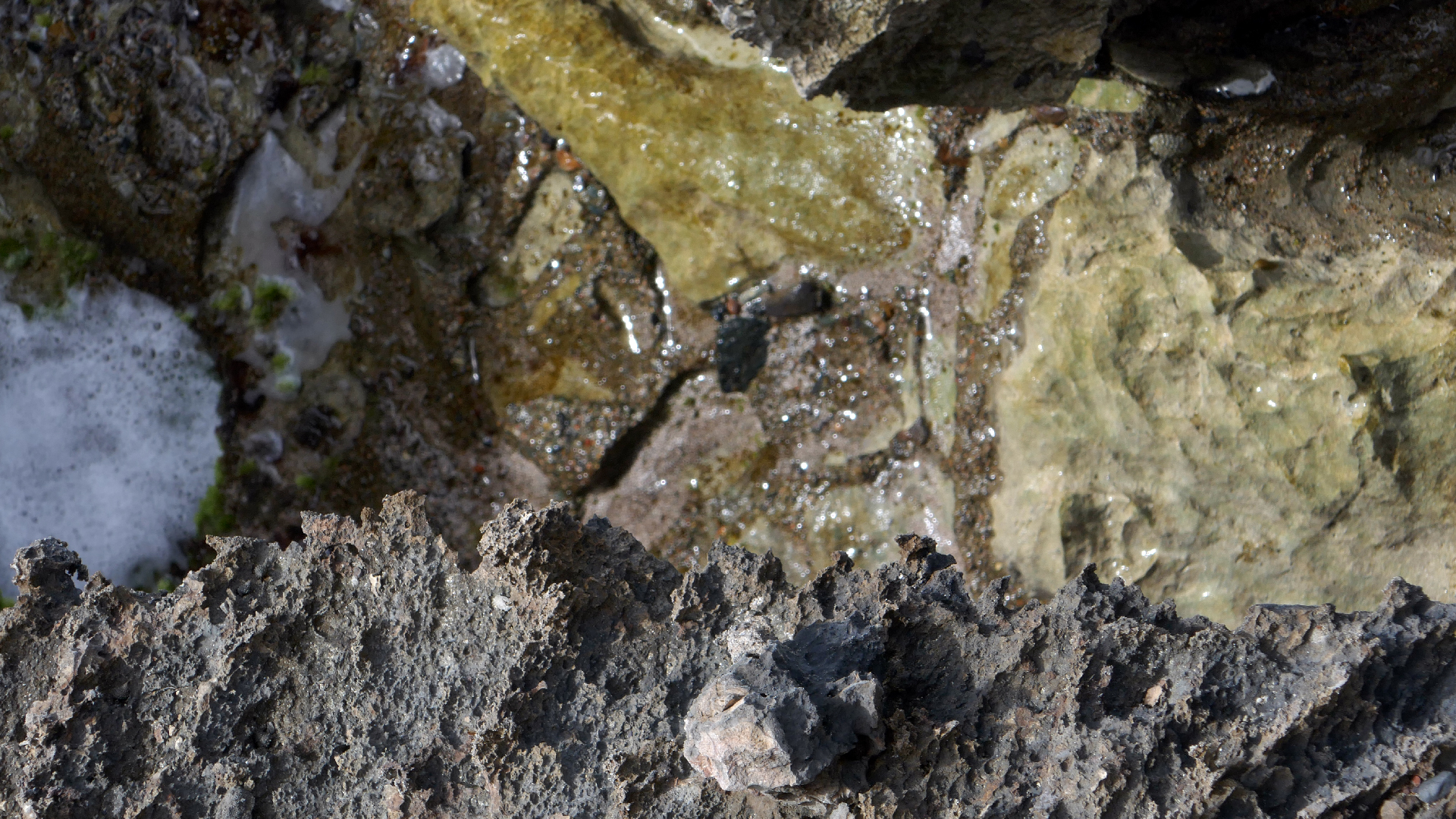 2022-04-23 Shete Boka Nationalpark (Foto, Video)