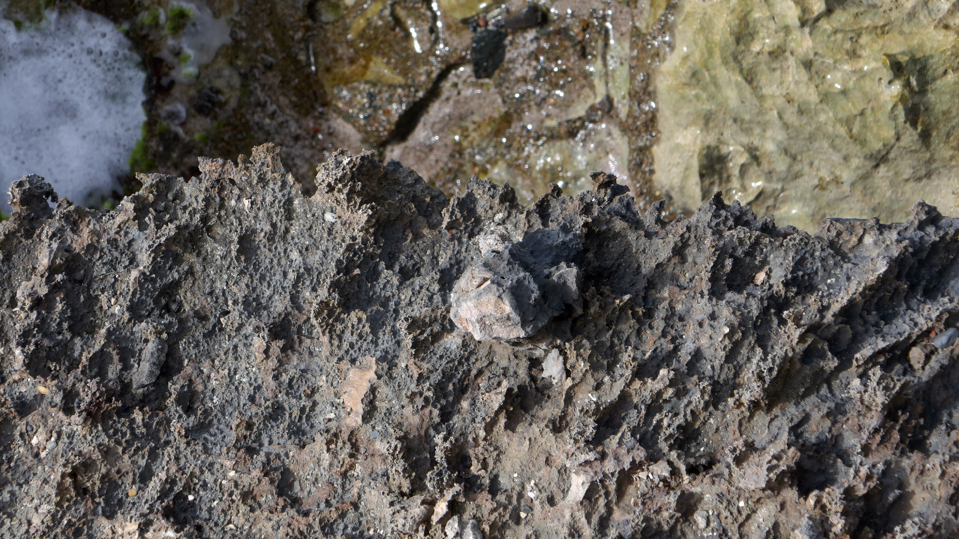 2022-04-23 Shete Boka Nationalpark (Foto, Video)