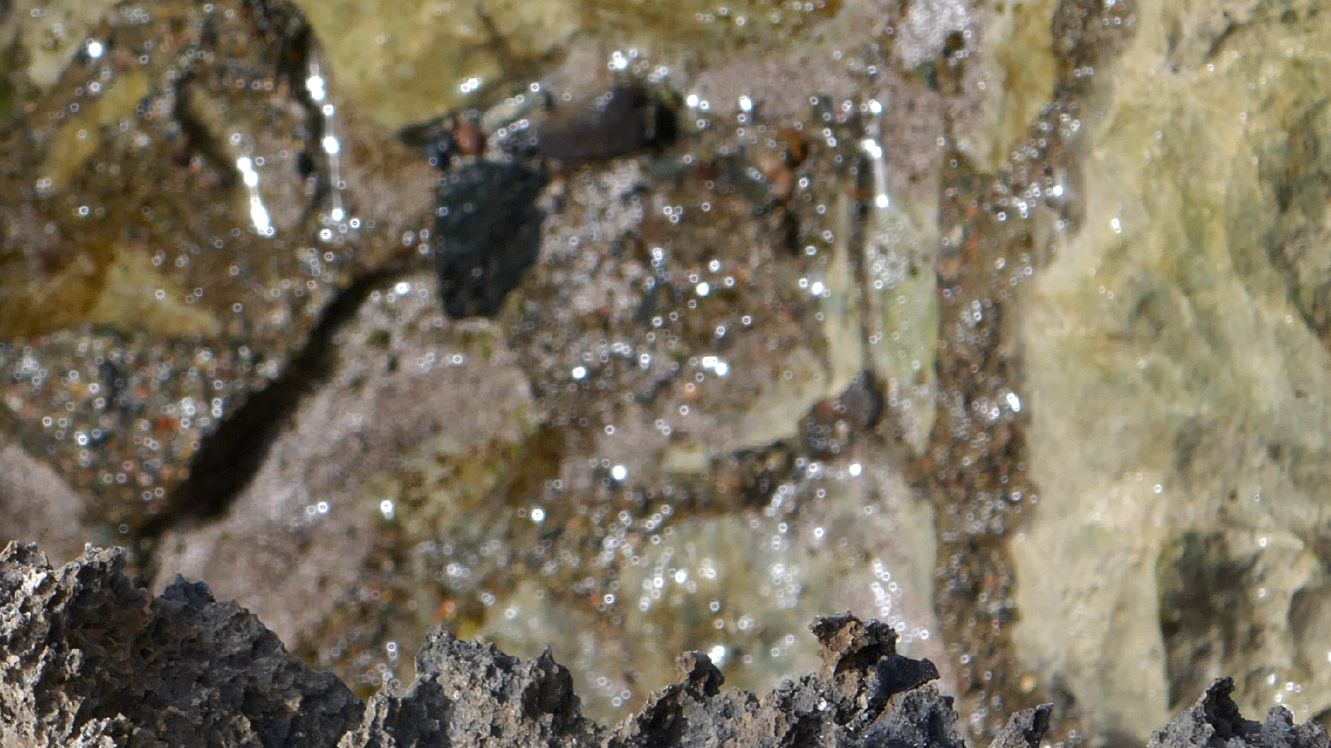 2022-04-23 Shete Boka Nationalpark (Foto, Video)