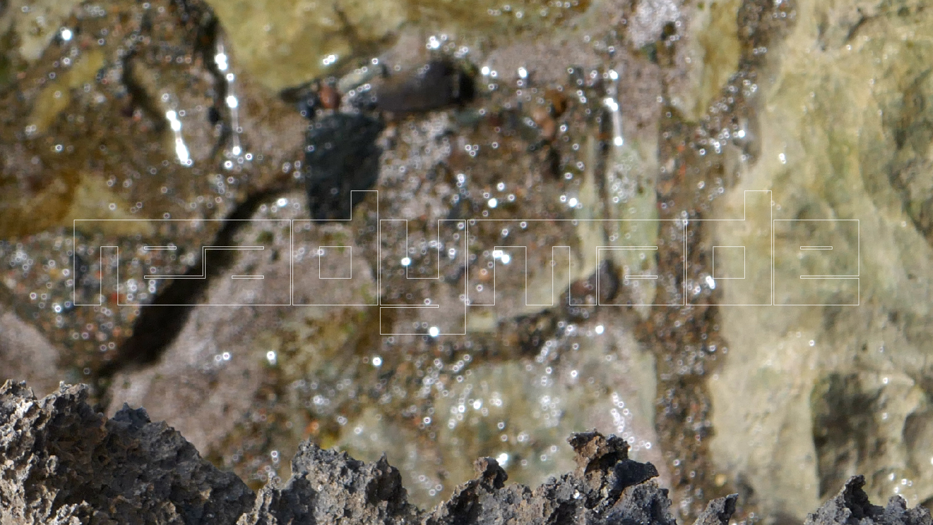 2022-04-23 Shete Boka Nationalpark (Foto, Video)