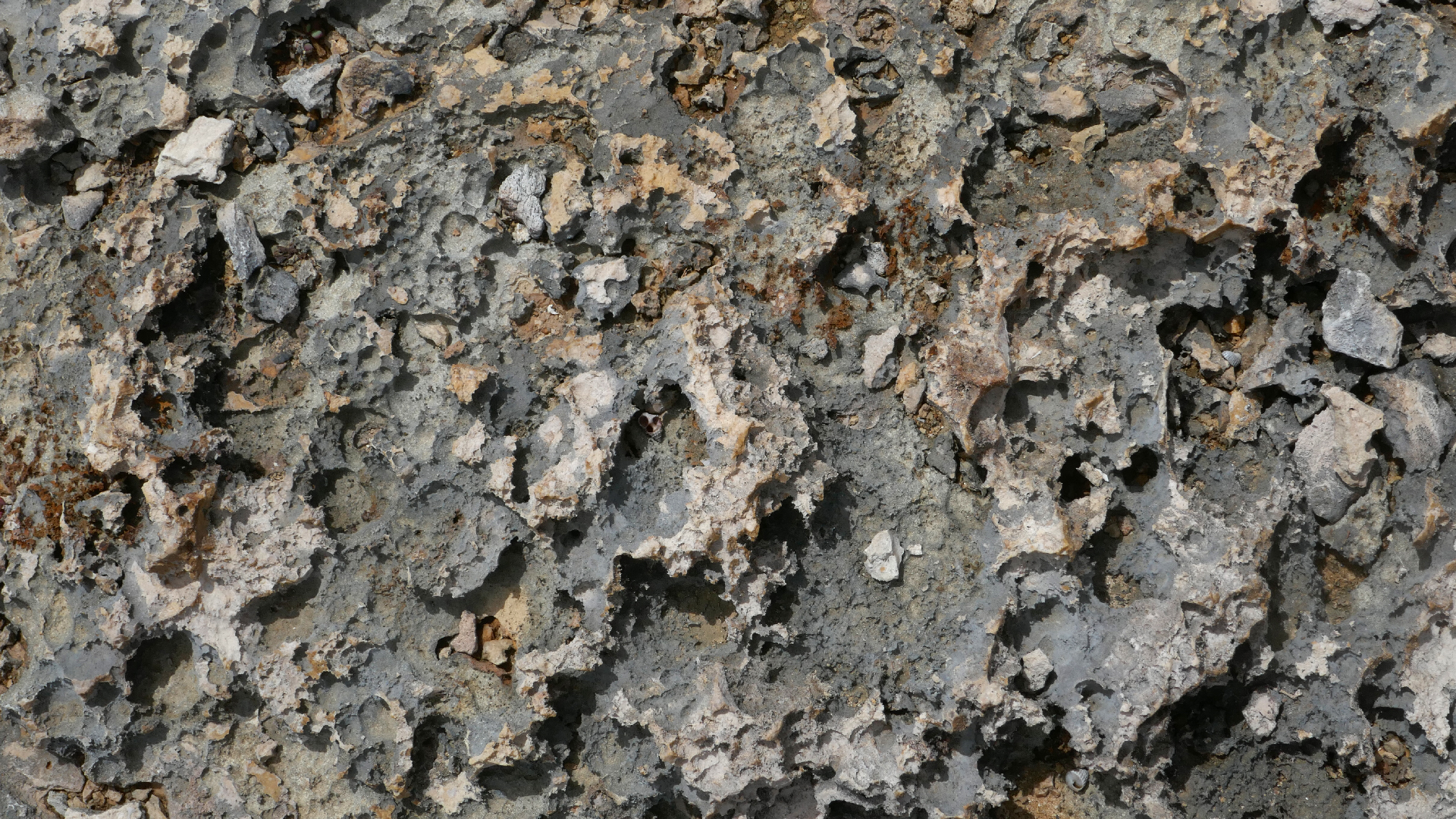 2022-04-23 Shete Boka Nationalpark (Foto, Video)