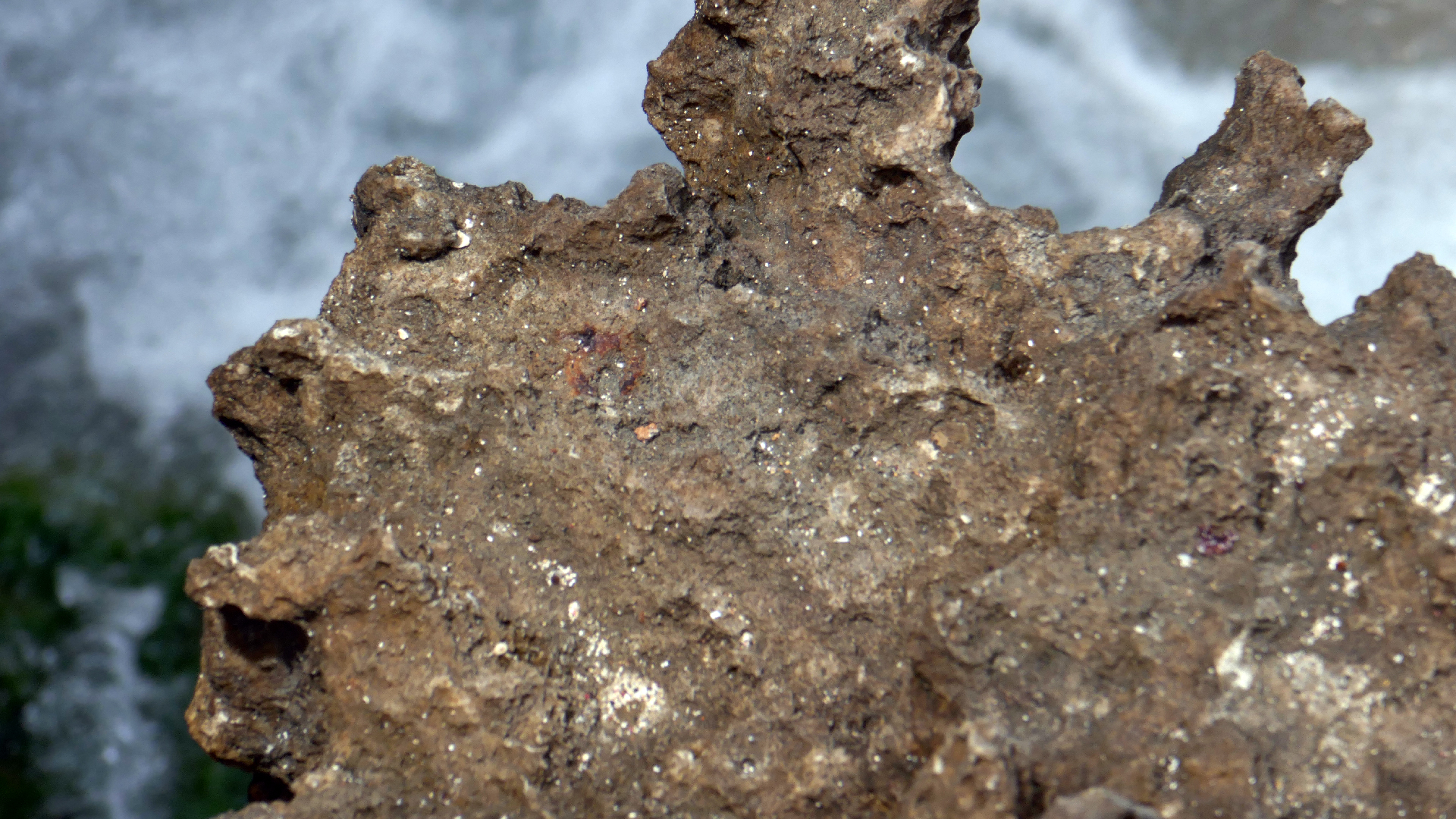 2022-04-23 Shete Boka Nationalpark (Foto, Video)