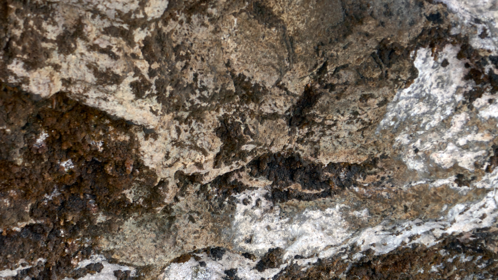 2022-04-23 Shete Boka Nationalpark (Foto, Video)