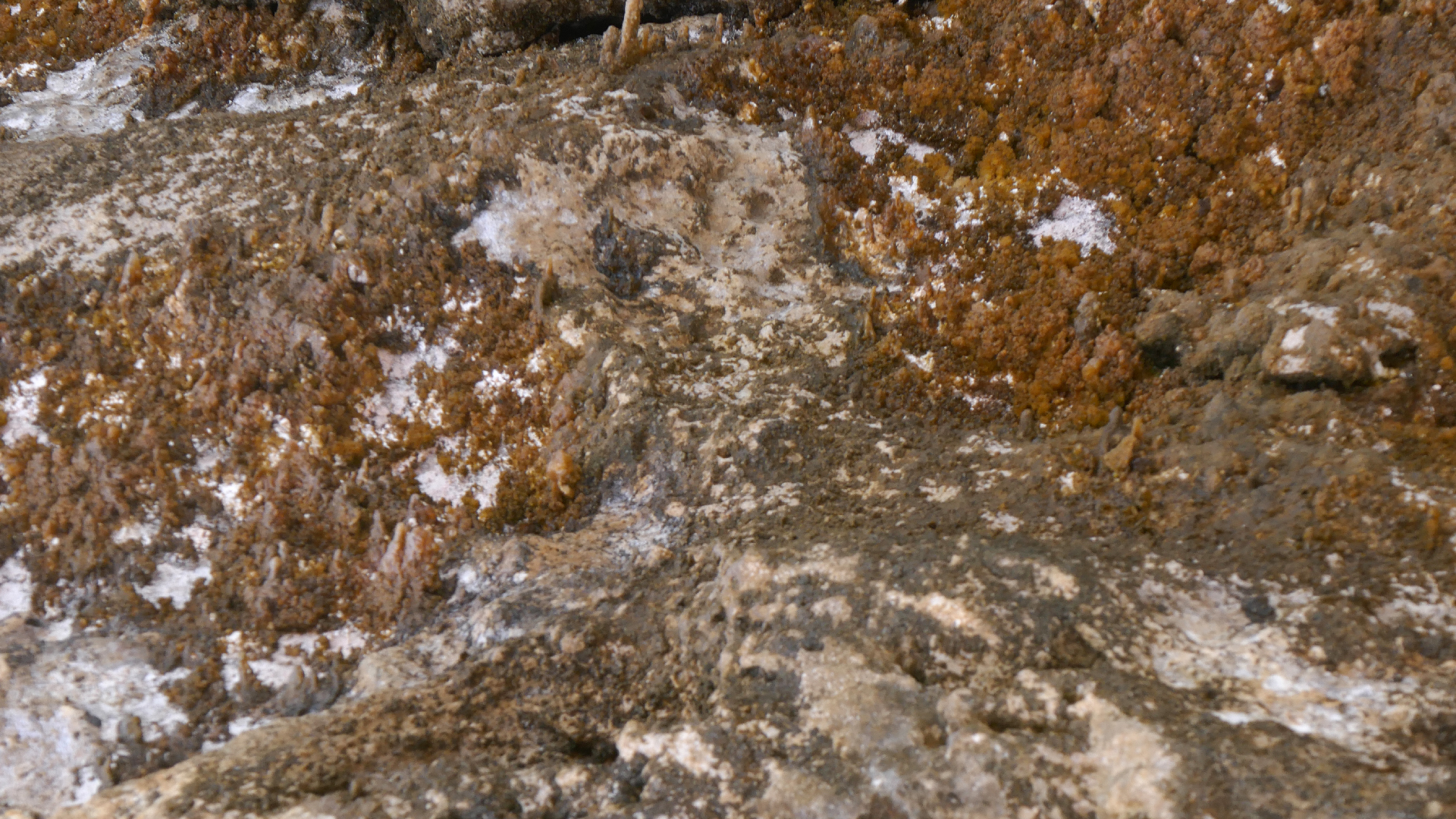 2022-04-23 Shete Boka Nationalpark (Foto, Video)