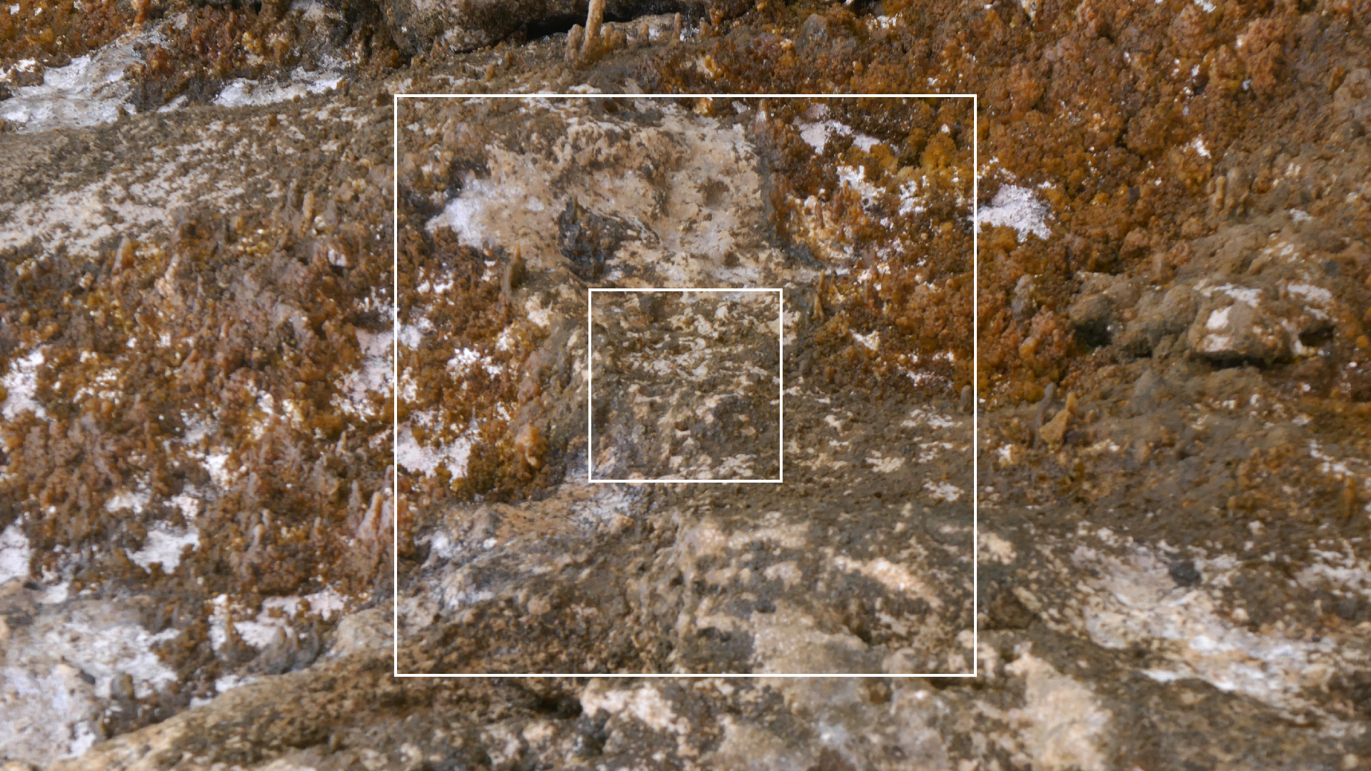 2022-04-23 Shete Boka Nationalpark (Foto, Video)