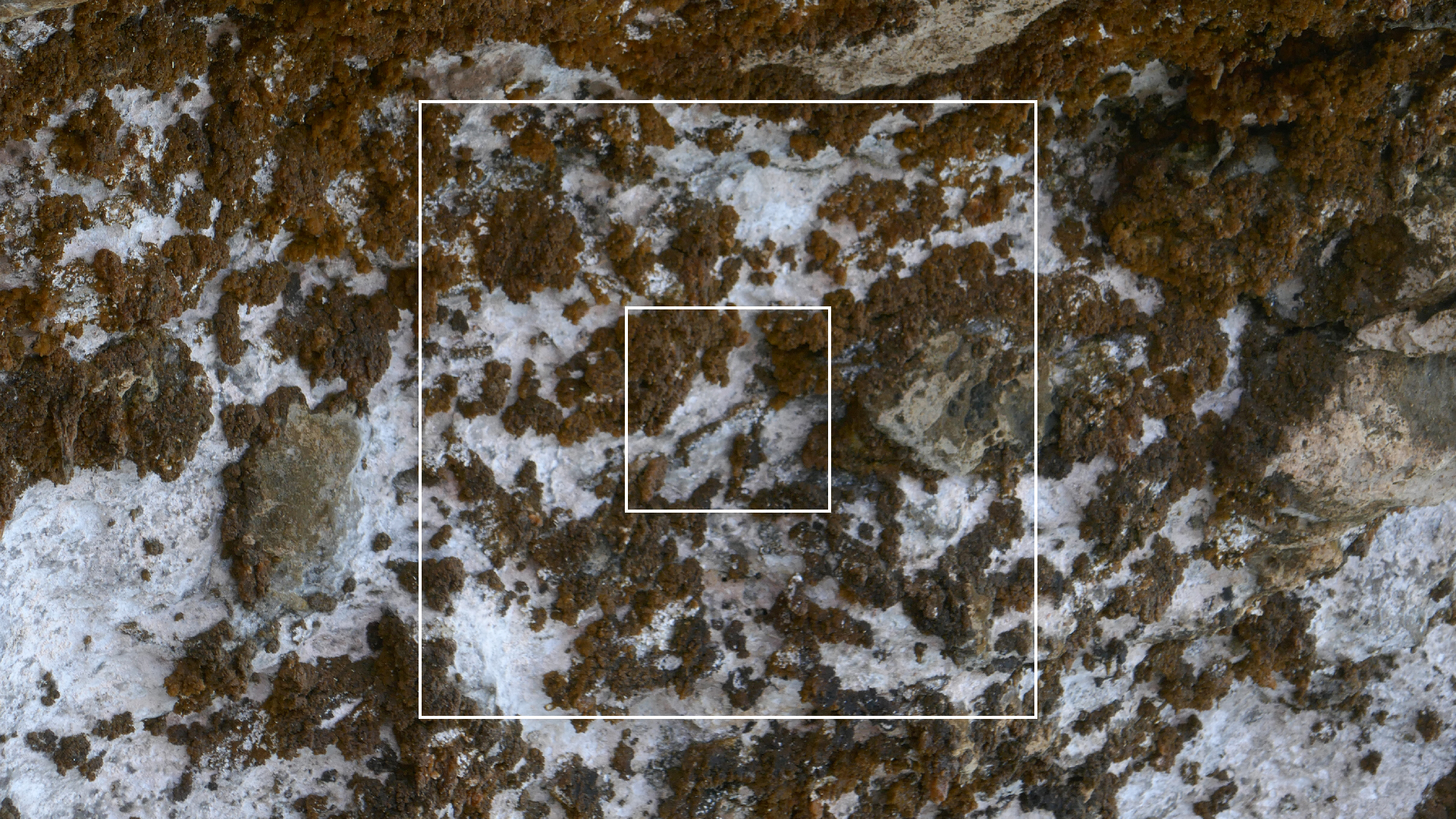 2022-04-23 Shete Boka Nationalpark (Foto, Video)