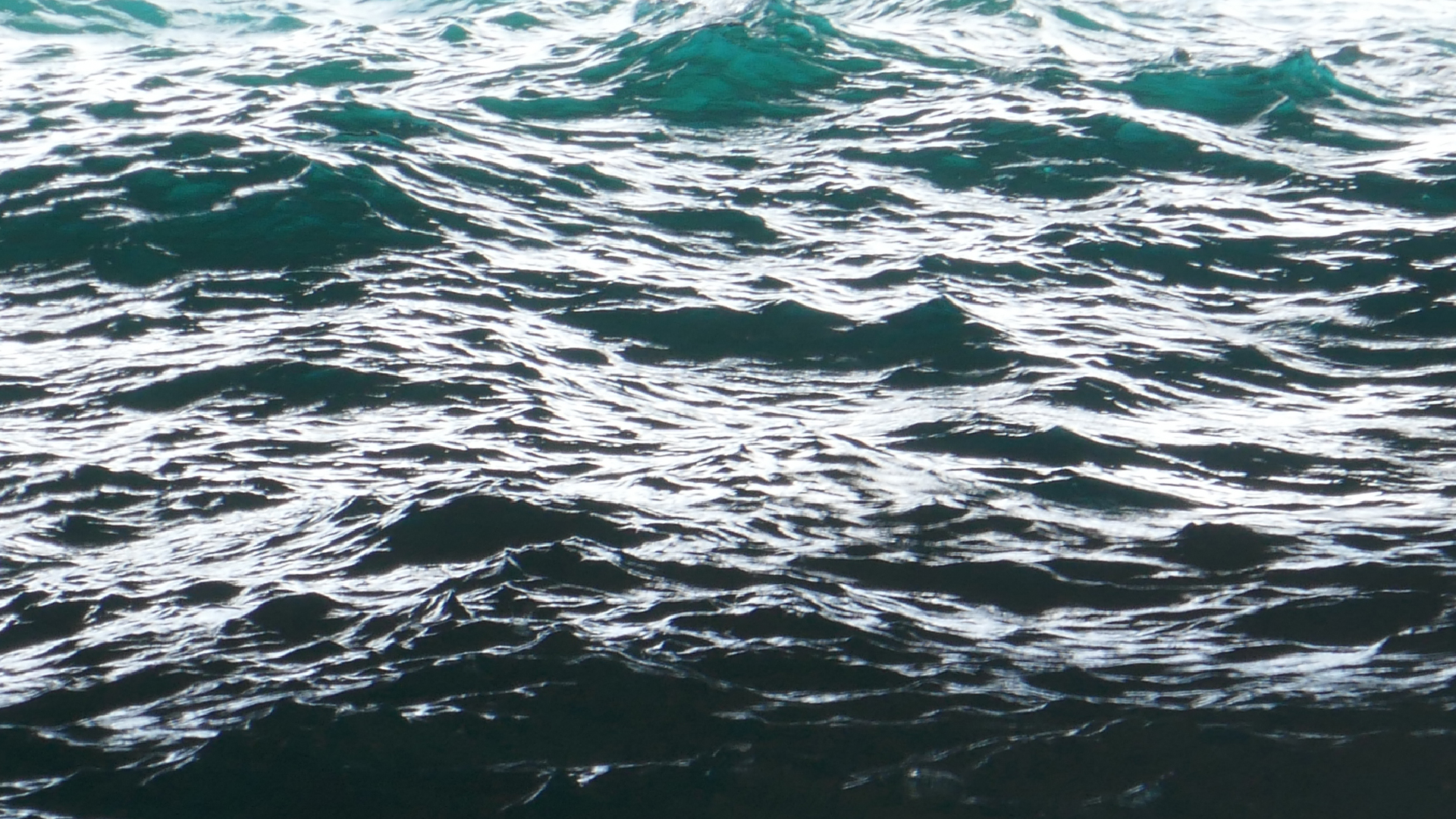 2022-04-23 Shete Boka Nationalpark (Foto, Video)