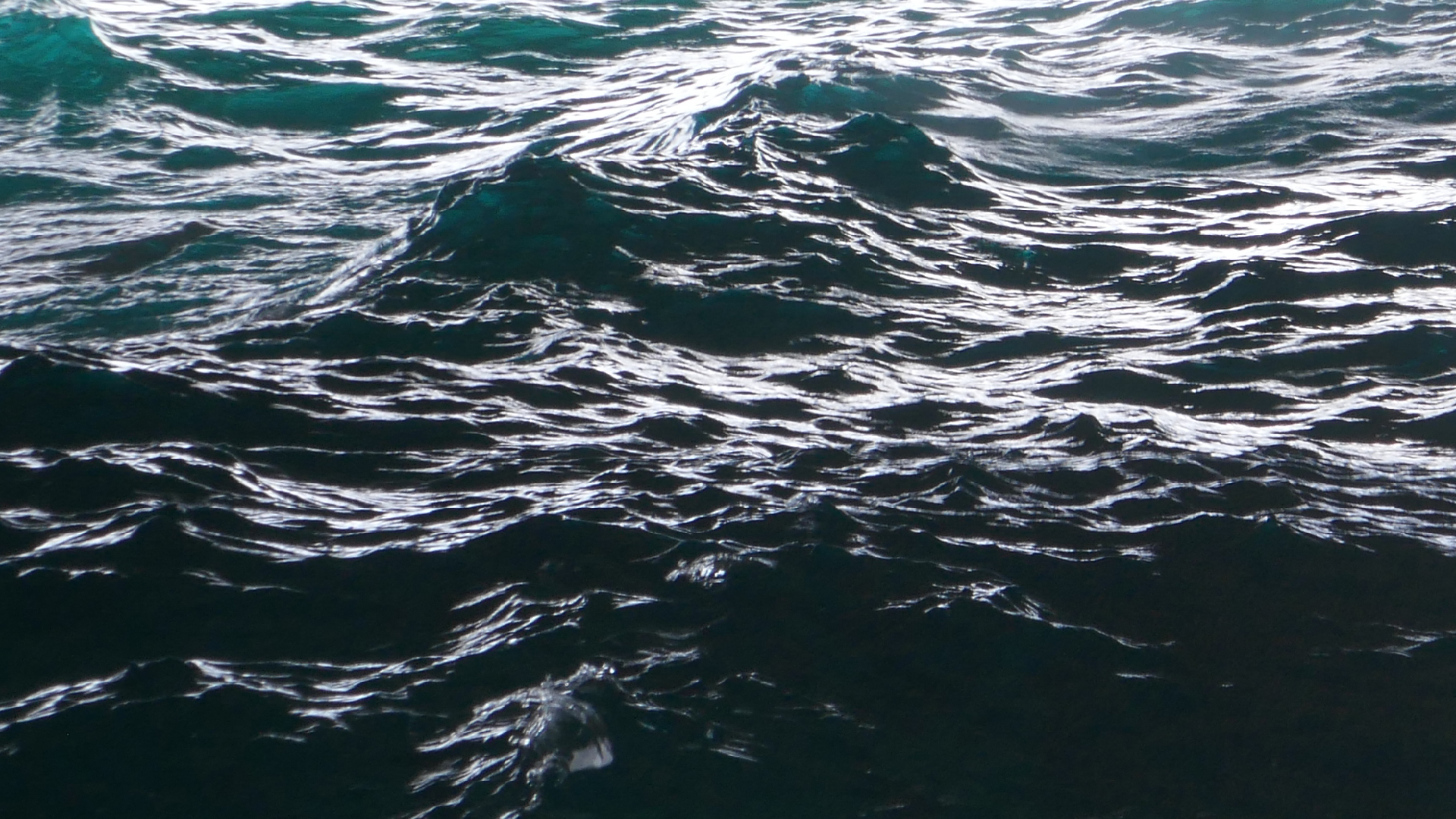 2022-04-23 Shete Boka Nationalpark (Foto, Video)