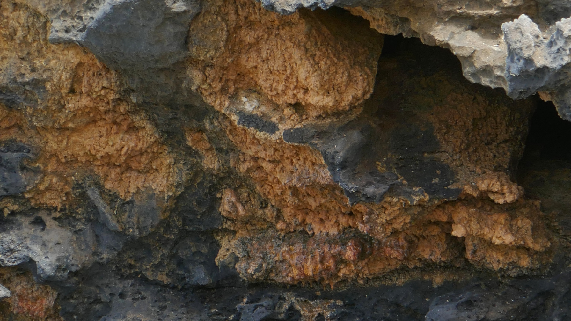 2022-04-23 Shete Boka Nationalpark (Foto, Video)