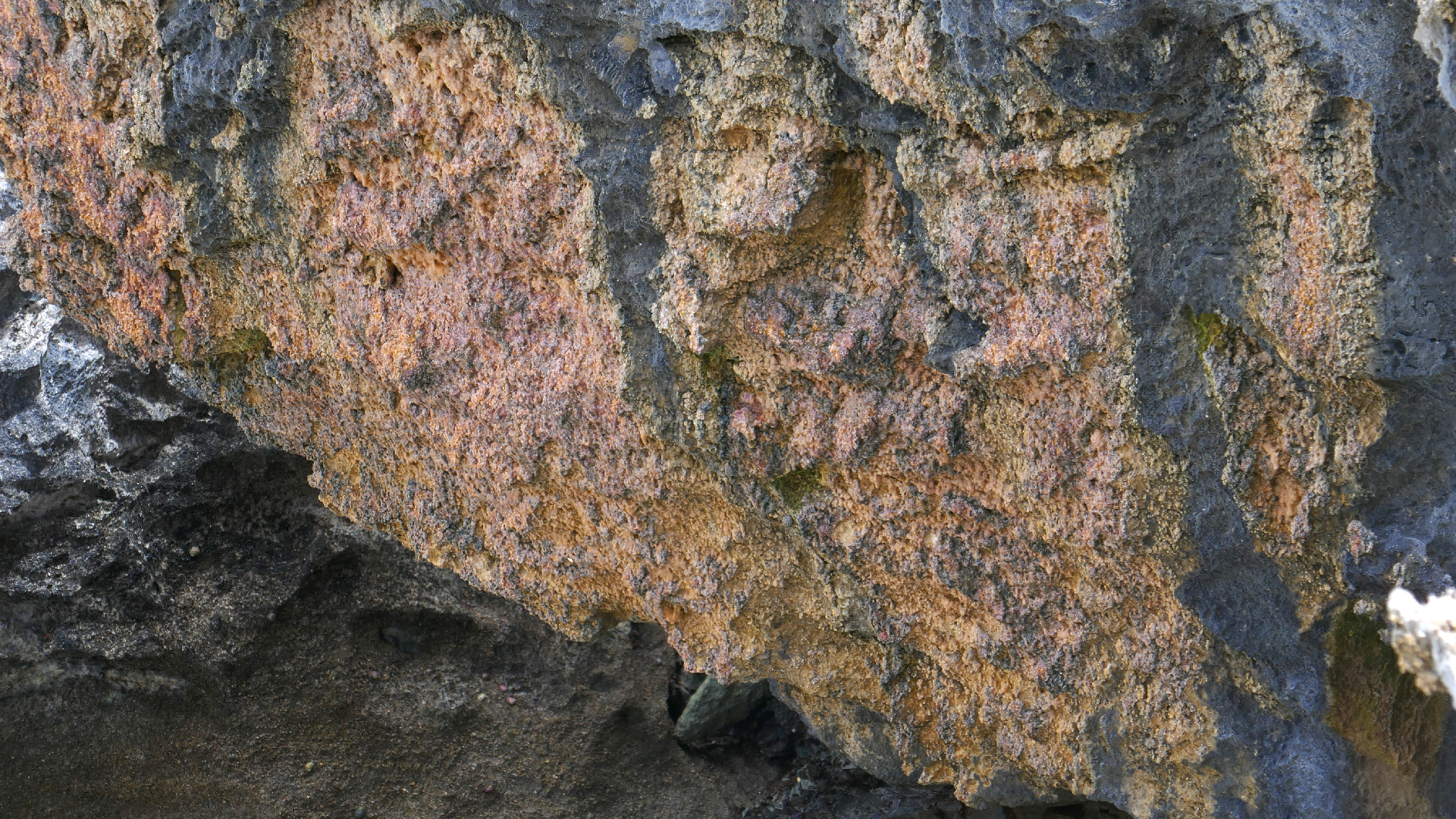 2022-04-23 Shete Boka Nationalpark (Foto, Video)