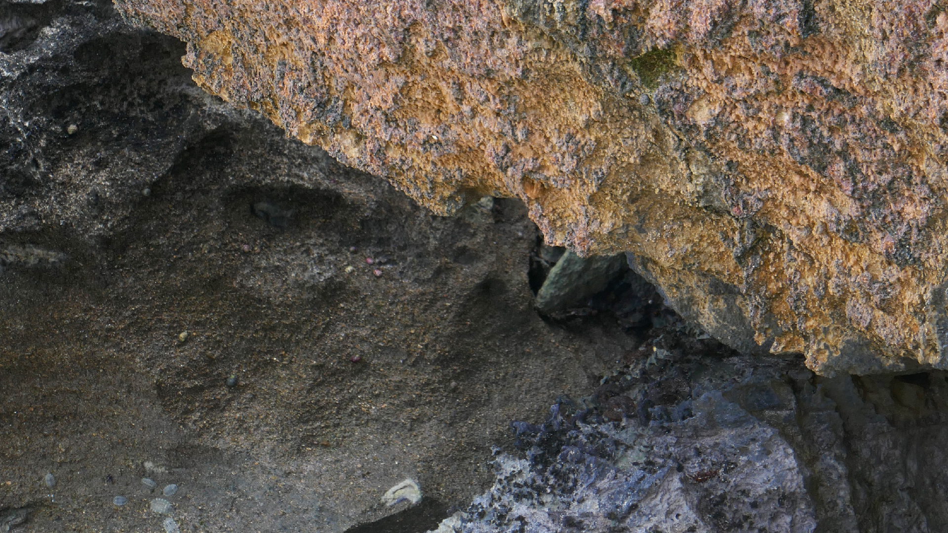 2022-04-23 Shete Boka Nationalpark (Foto, Video)