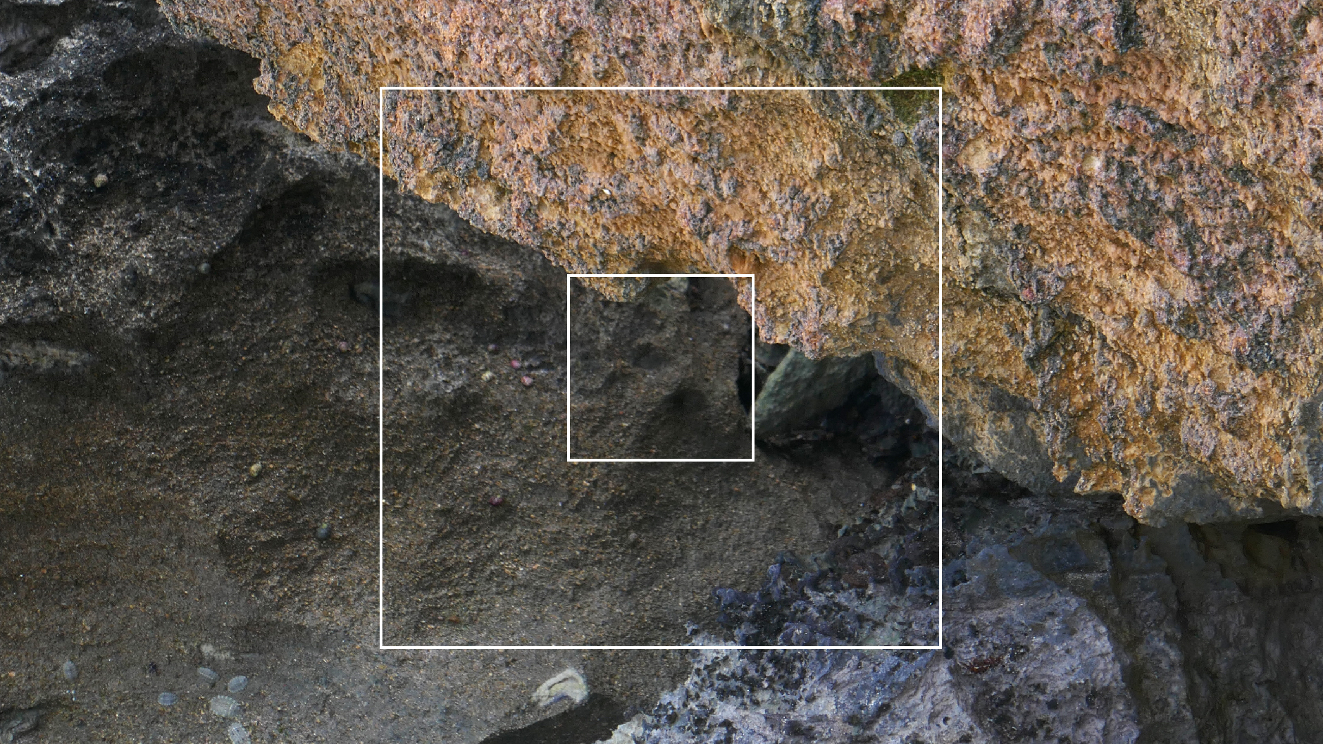 2022-04-23 Shete Boka Nationalpark (Foto, Video)