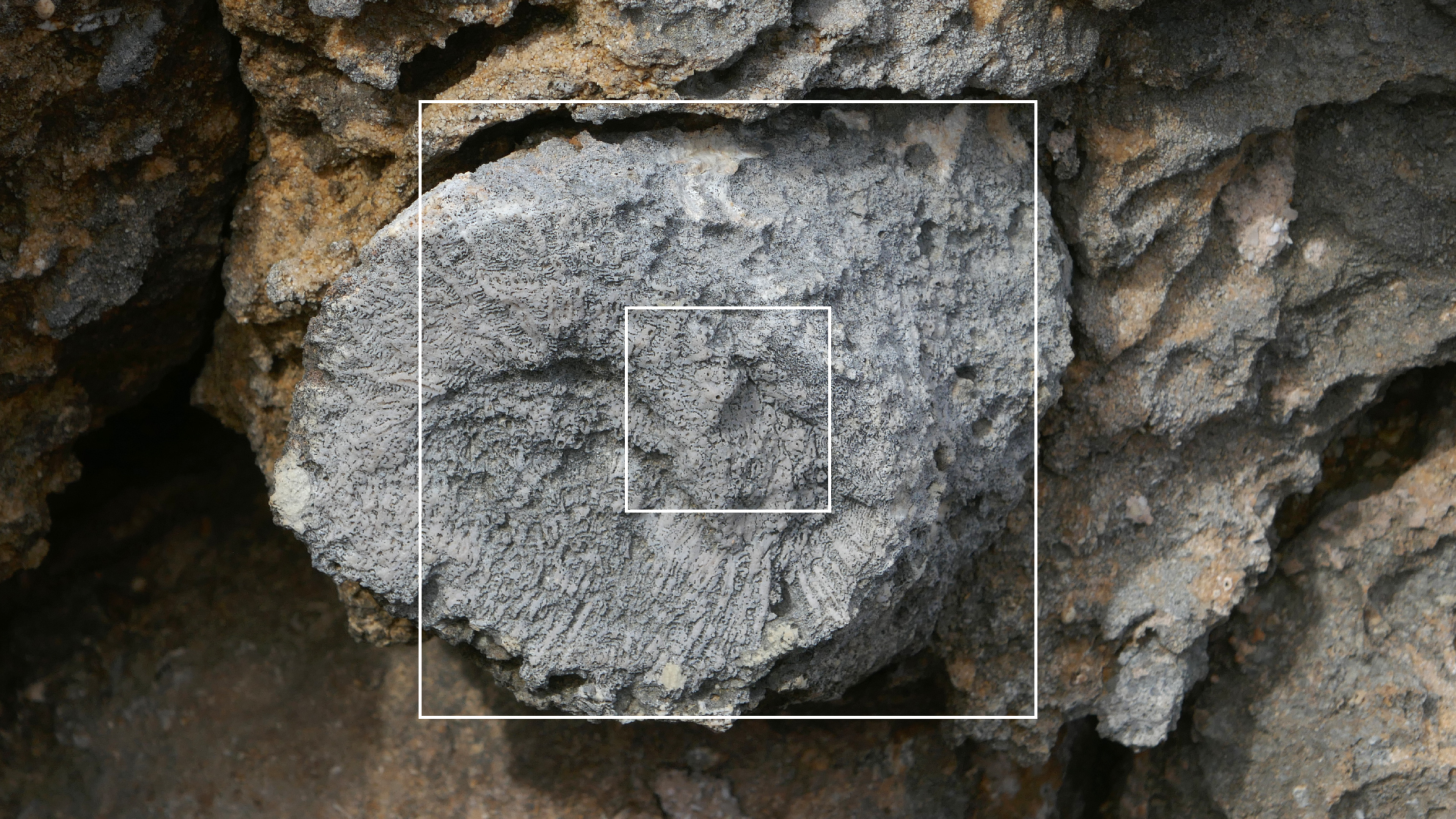 2022-04-23 Shete Boka Nationalpark (Foto, Video)