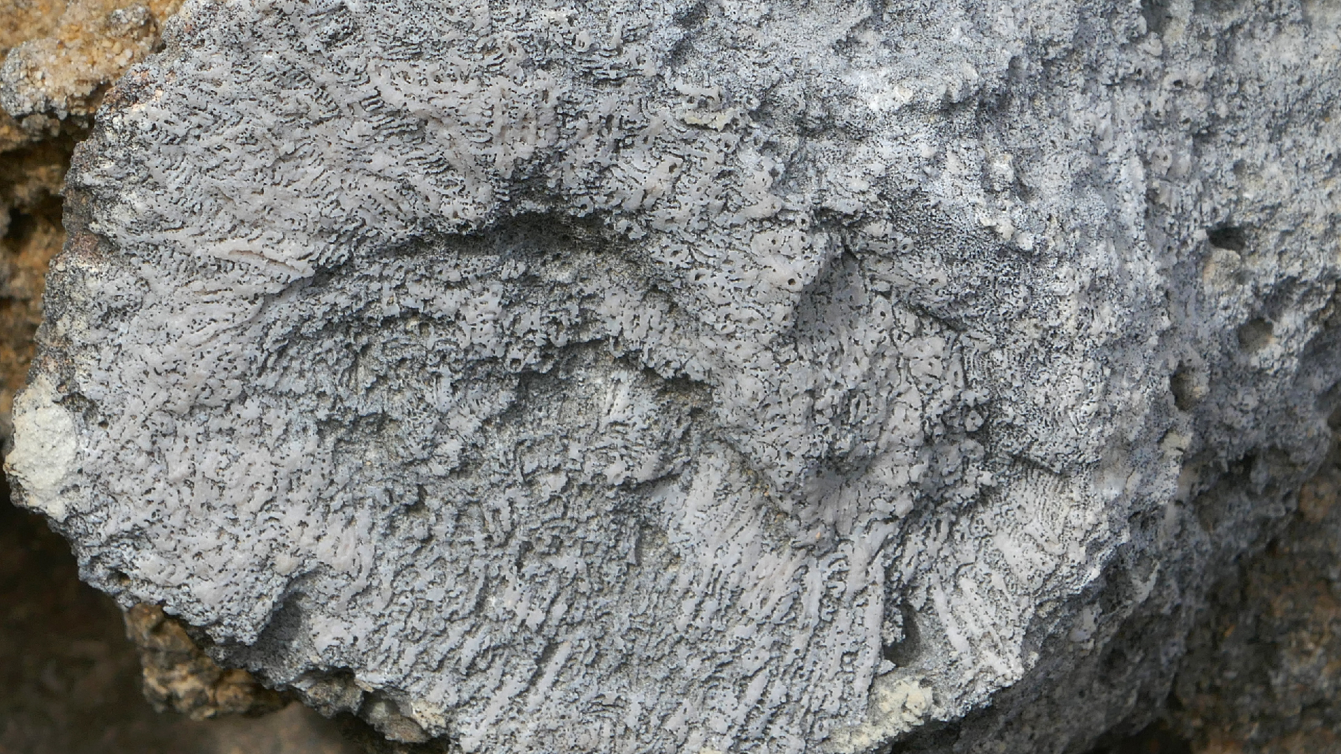 2022-04-23 Shete Boka Nationalpark (Foto, Video)