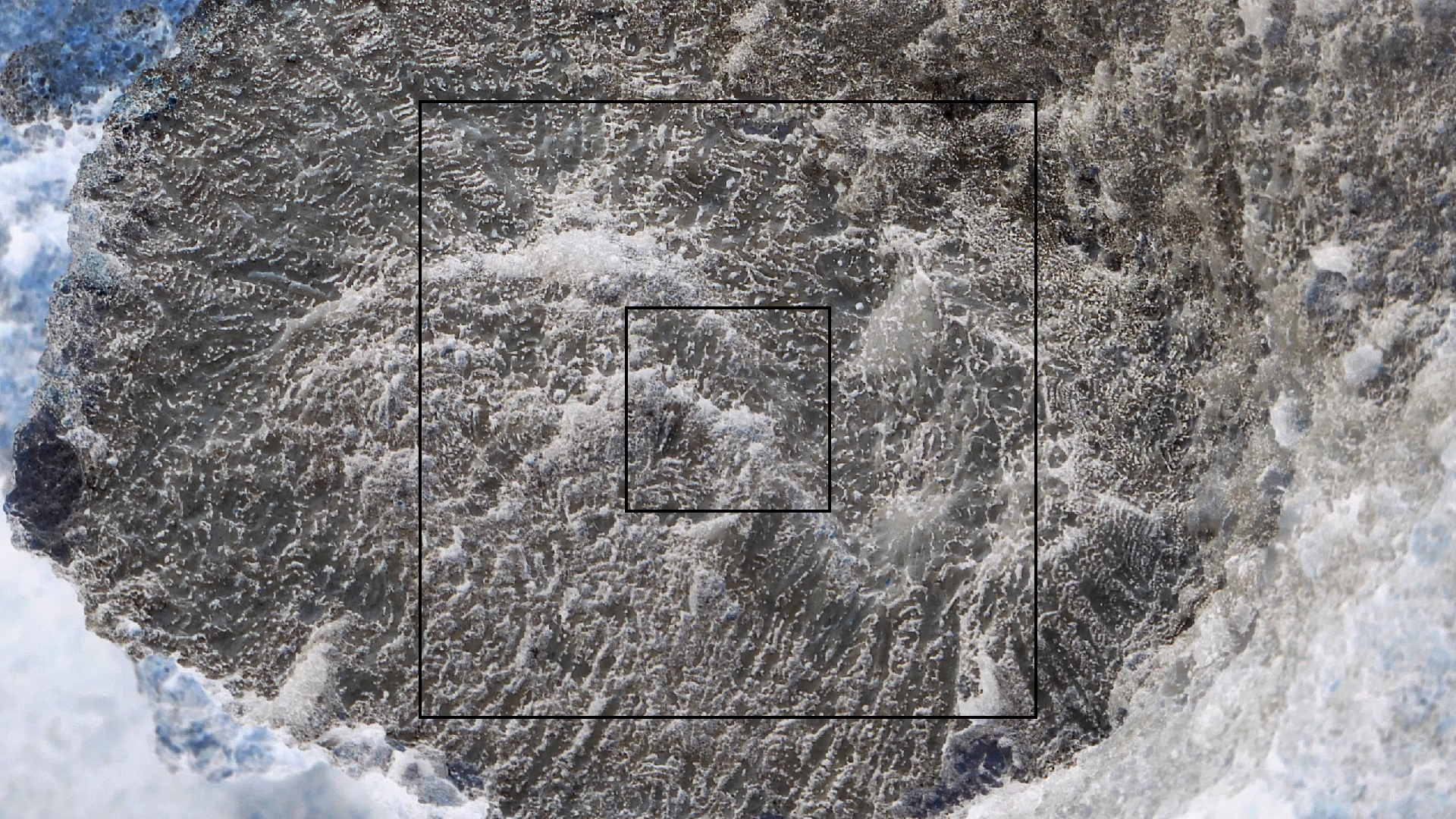 2022-04-23 Shete Boka Nationalpark (Foto, Video)