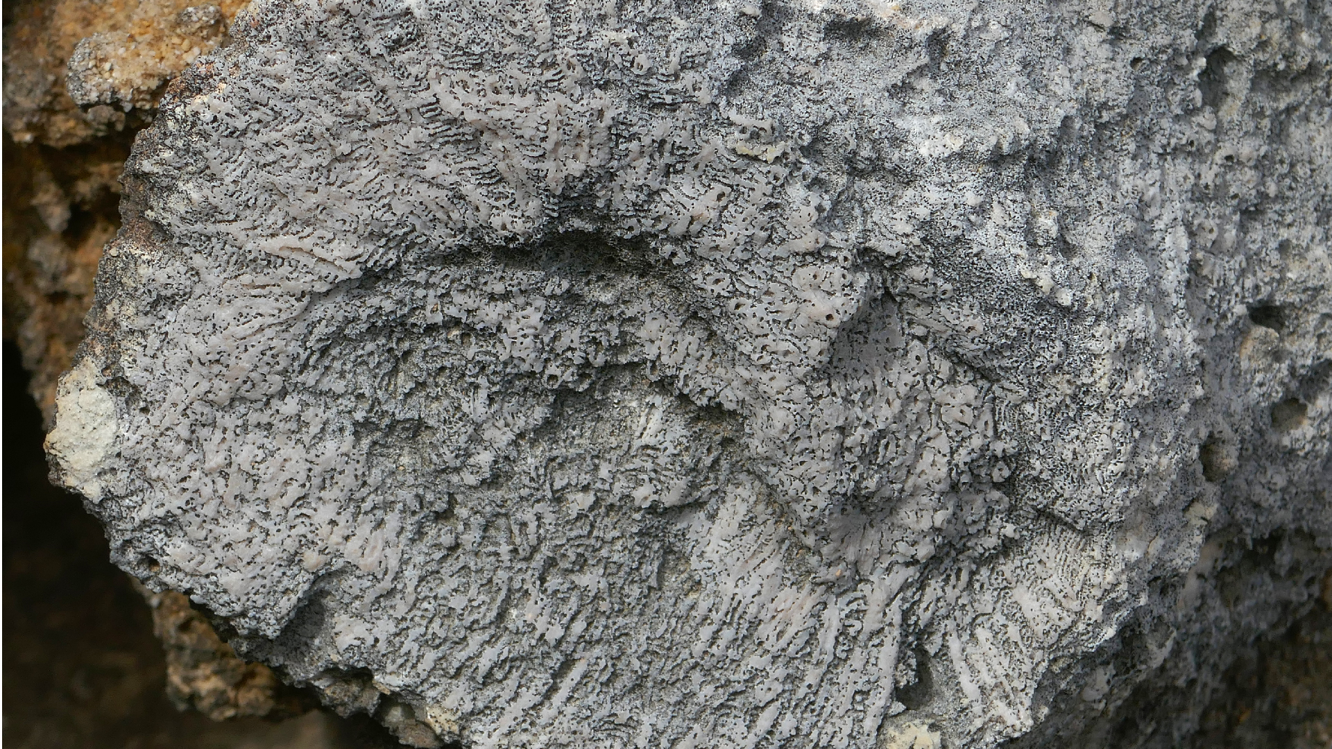 2022-04-23 Shete Boka Nationalpark (Foto, Video)