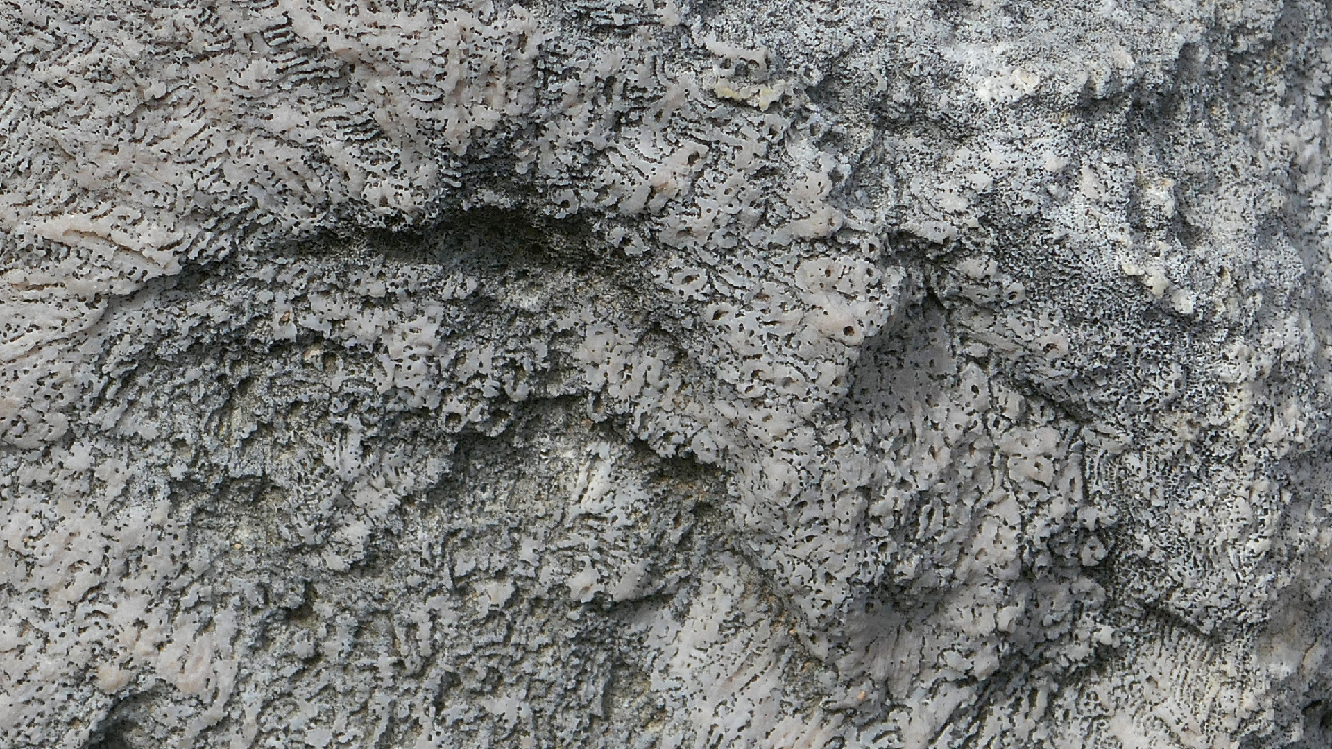 2022-04-23 Shete Boka Nationalpark (Foto, Video)