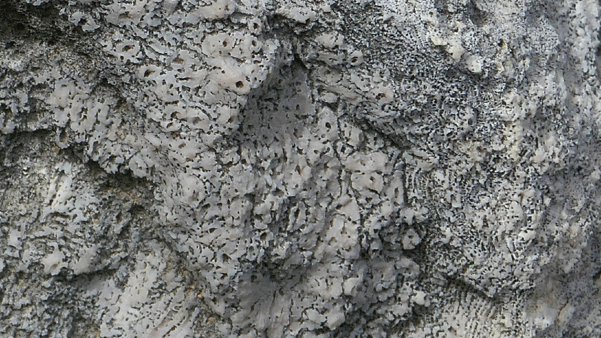 2022-04-23 Shete Boka Nationalpark (Foto, Video)