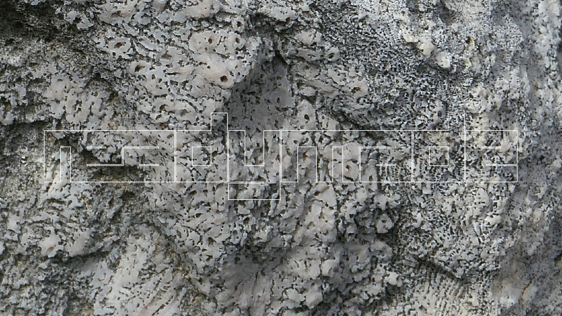 2022-04-23 Shete Boka Nationalpark (Foto, Video)