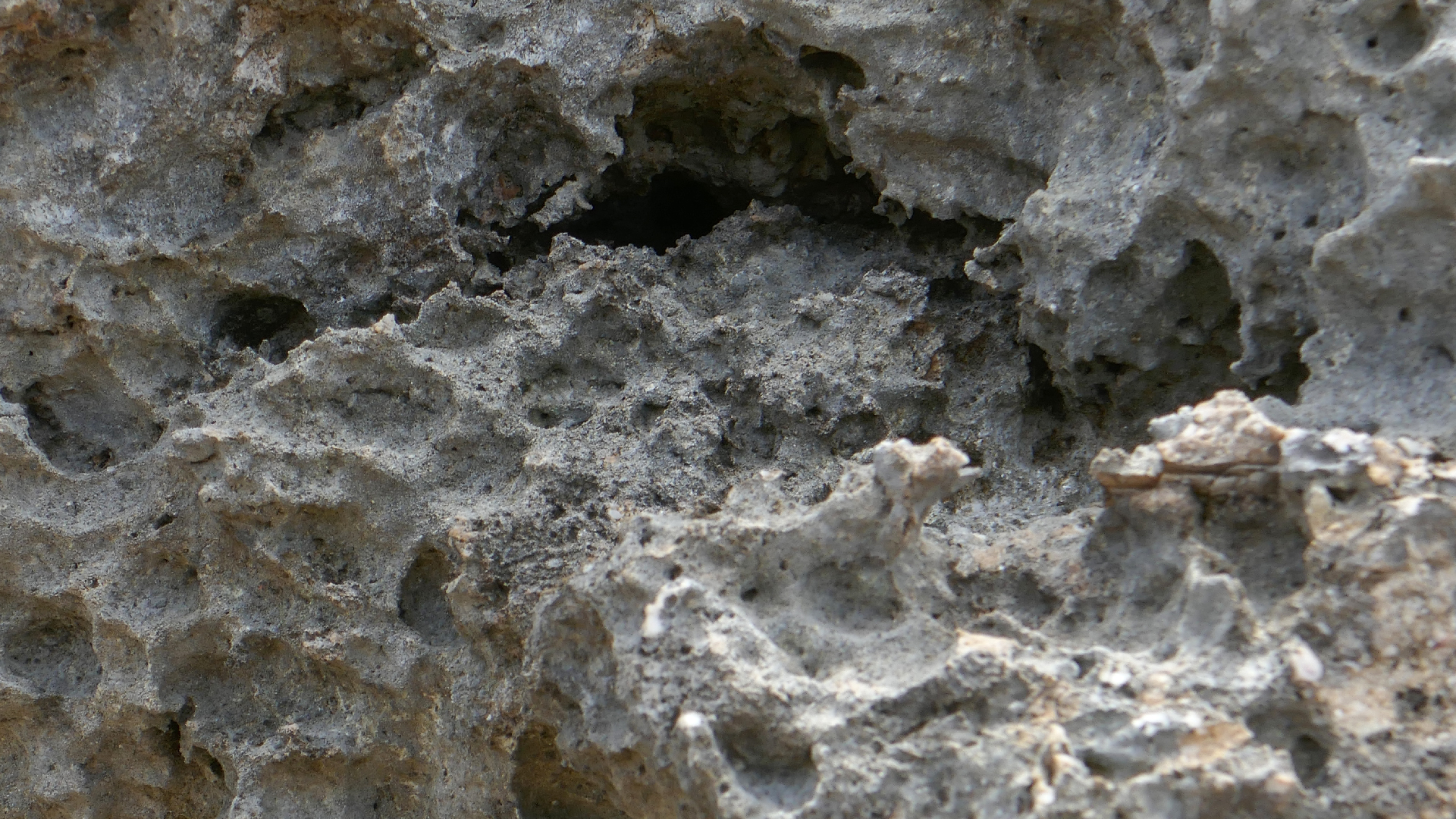 2022-04-23 Shete Boka Nationalpark (Foto, Video)