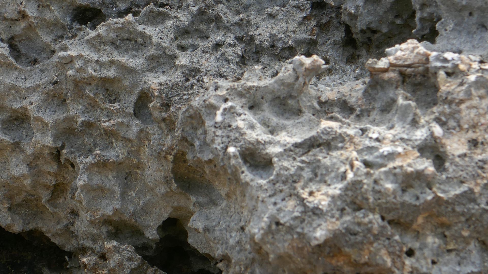 2022-04-23 Shete Boka Nationalpark (Foto, Video)