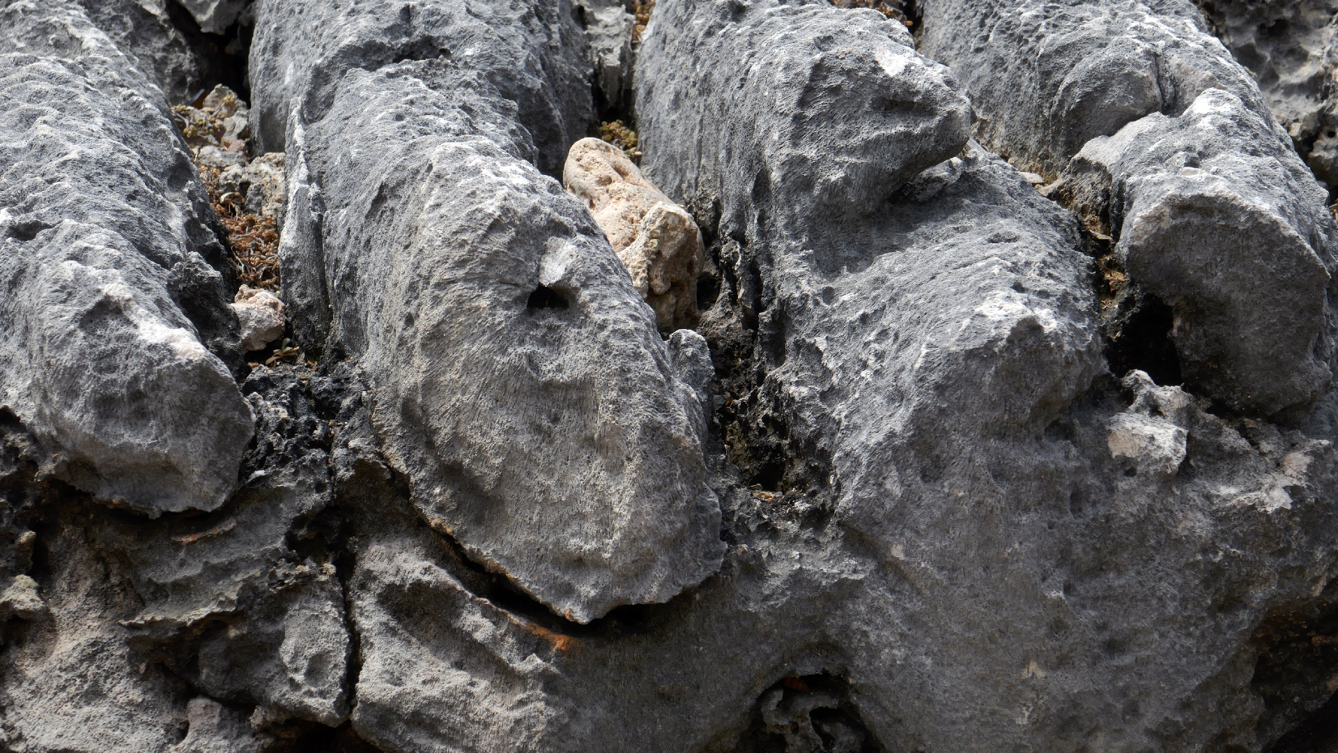 2022-04-23 Shete Boka Nationalpark (Foto, Video)