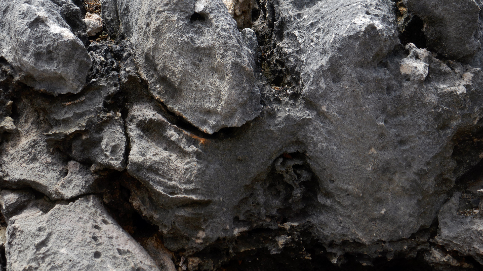 2022-04-23 Shete Boka Nationalpark (Foto, Video)