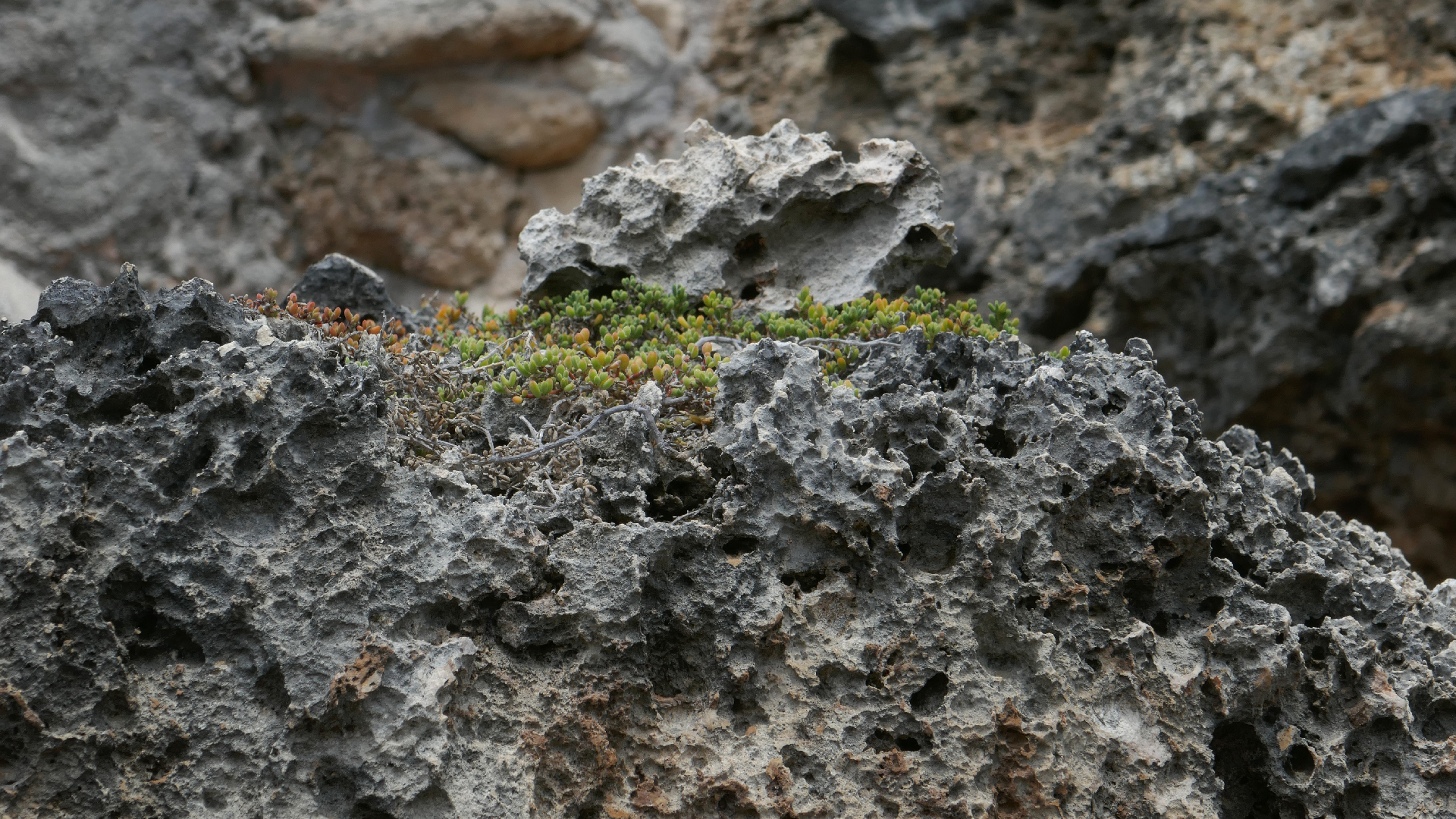 2022-04-23 Shete Boka Nationalpark (Foto, Video)