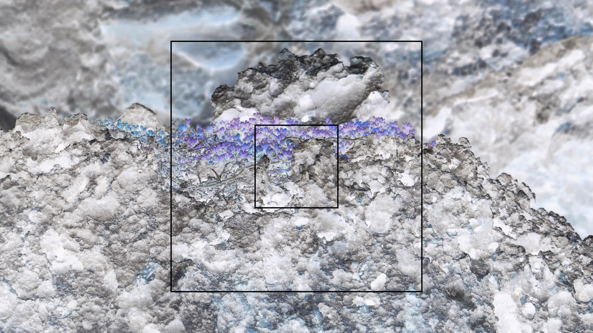 2022-04-23 Shete Boka Nationalpark (Foto, Video)