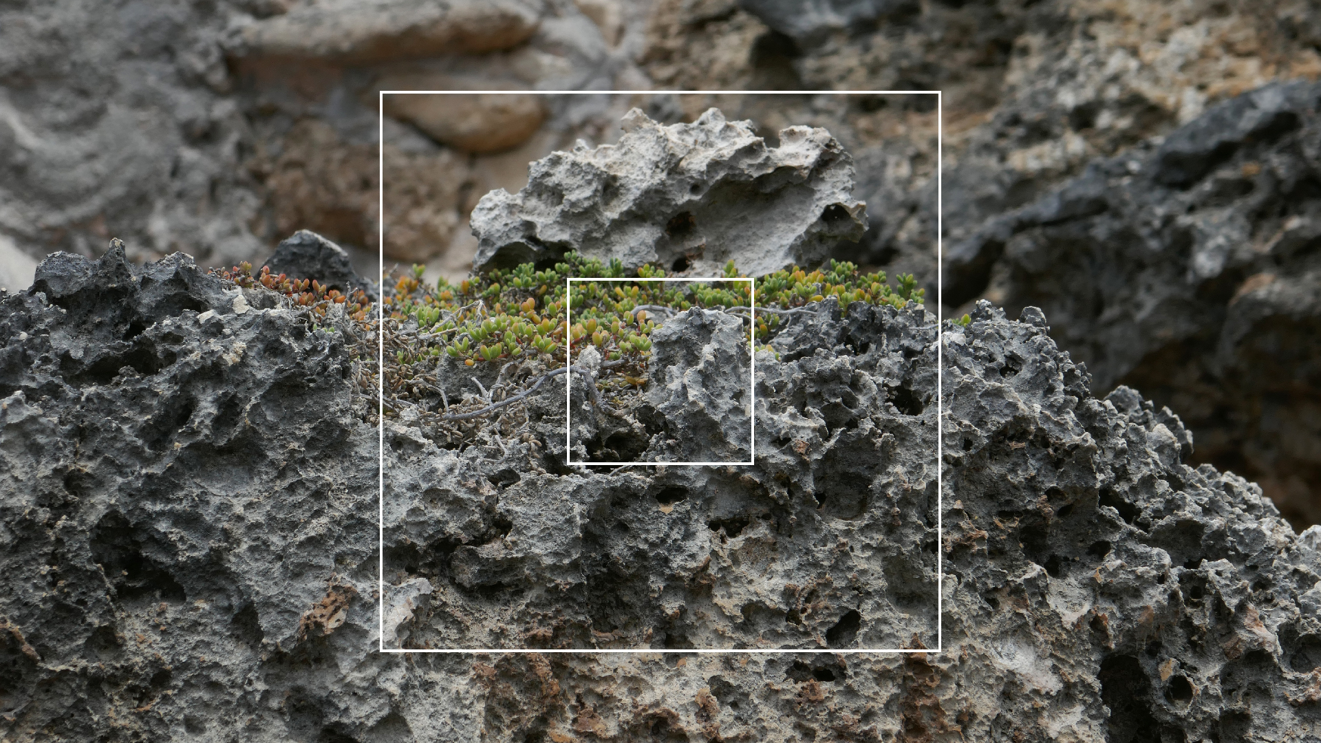 2022-04-23 Shete Boka Nationalpark (Foto, Video)