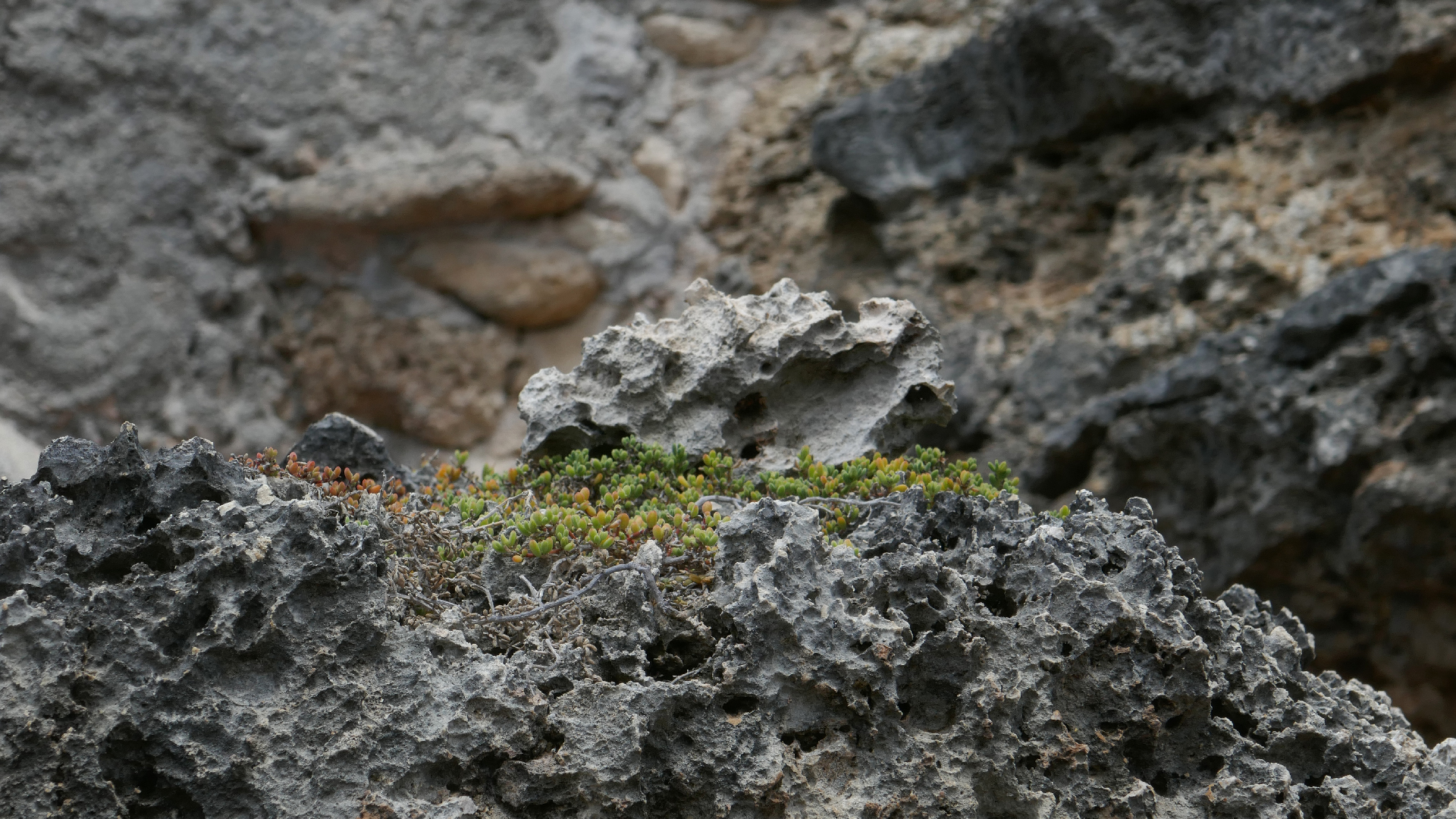 2022-04-23 Shete Boka Nationalpark (Foto, Video)