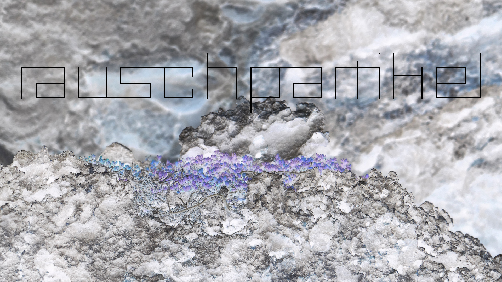 2022-04-23 Shete Boka Nationalpark (Foto, Video)