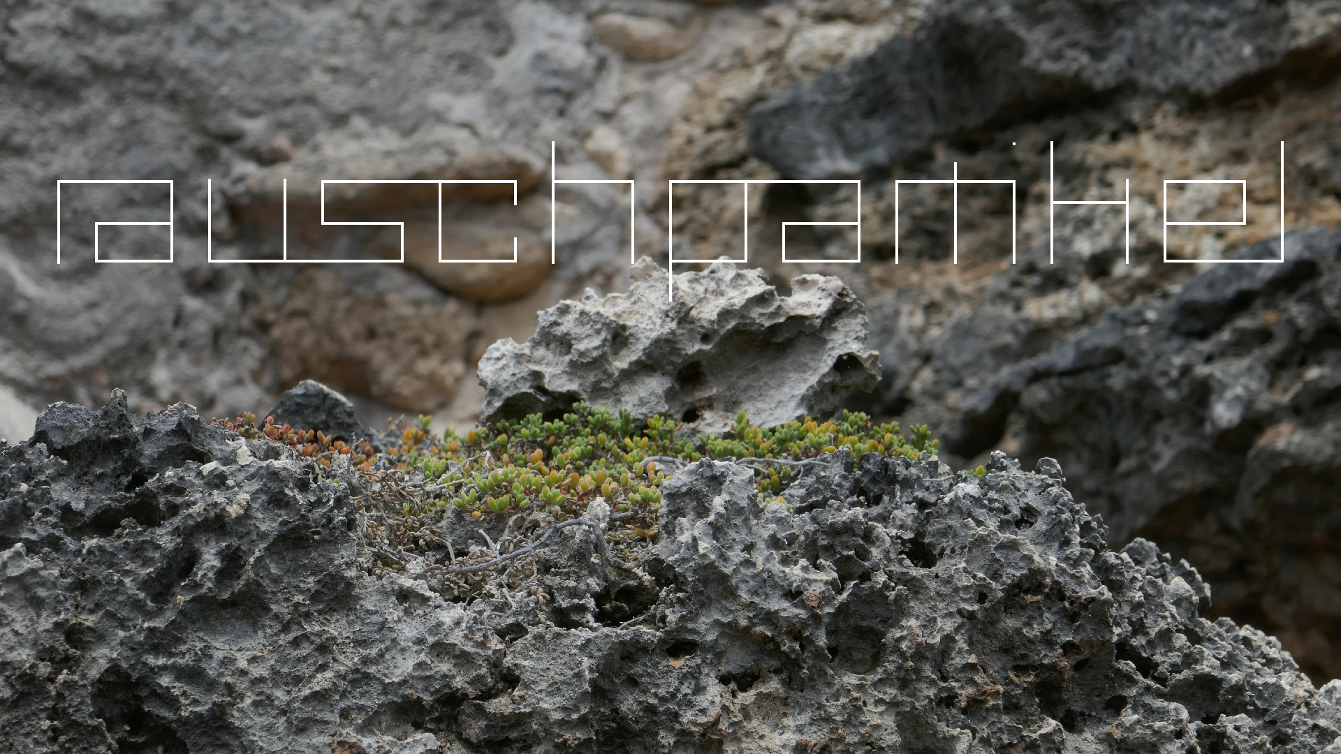 2022-04-23 Shete Boka Nationalpark (Foto, Video)