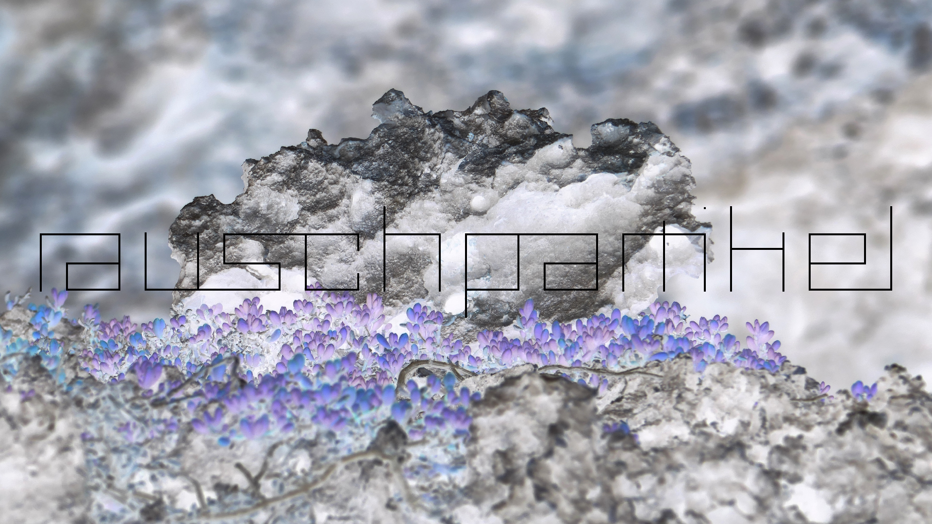 2022-04-23 Shete Boka Nationalpark (Foto, Video)