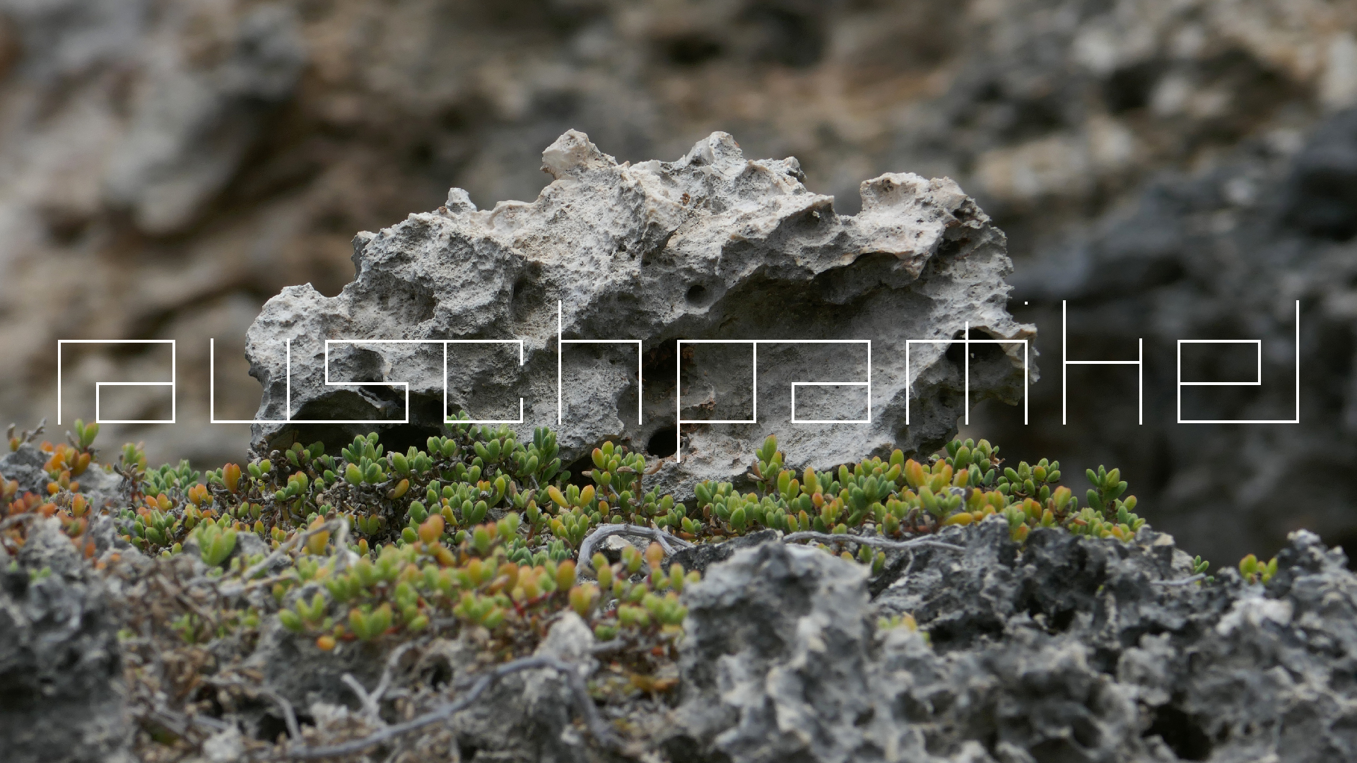 2022-04-23 Shete Boka Nationalpark (Foto, Video)