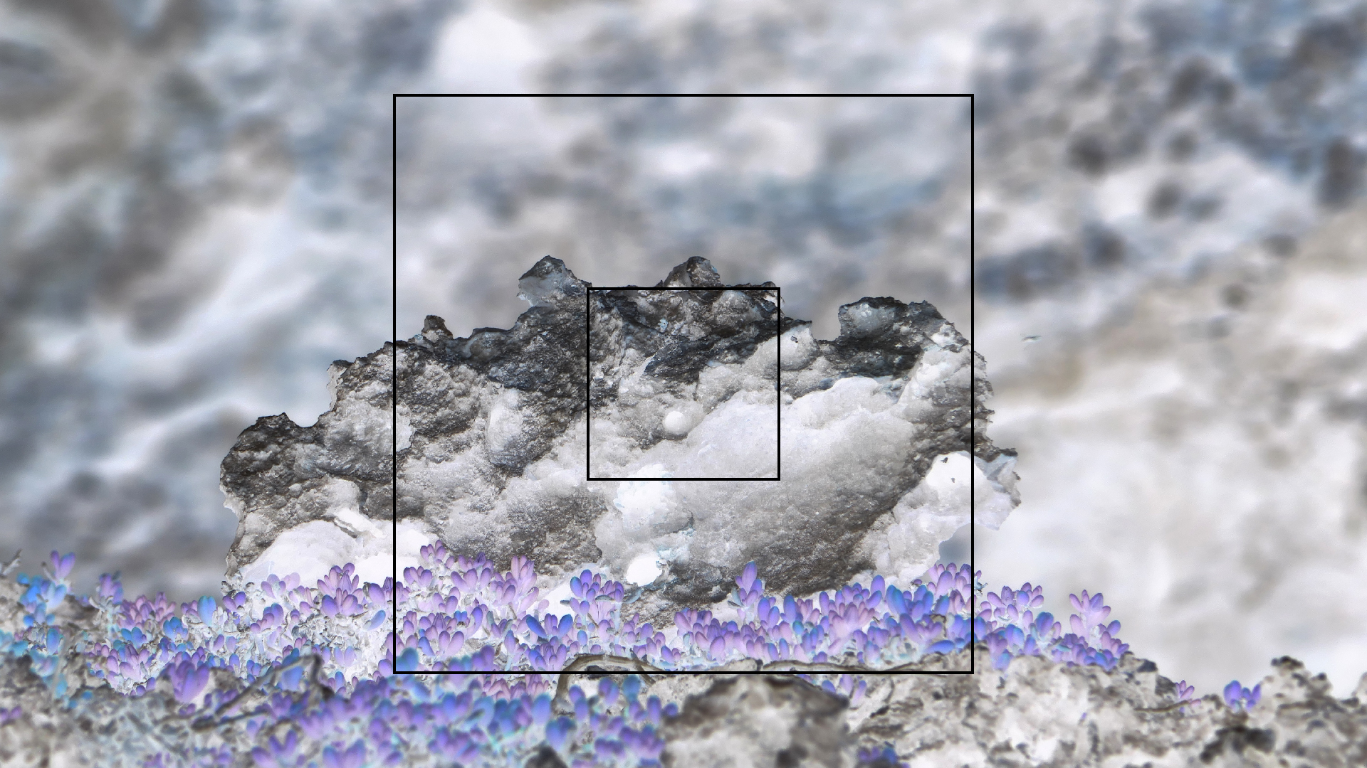 2022-04-23 Shete Boka Nationalpark (Foto, Video)