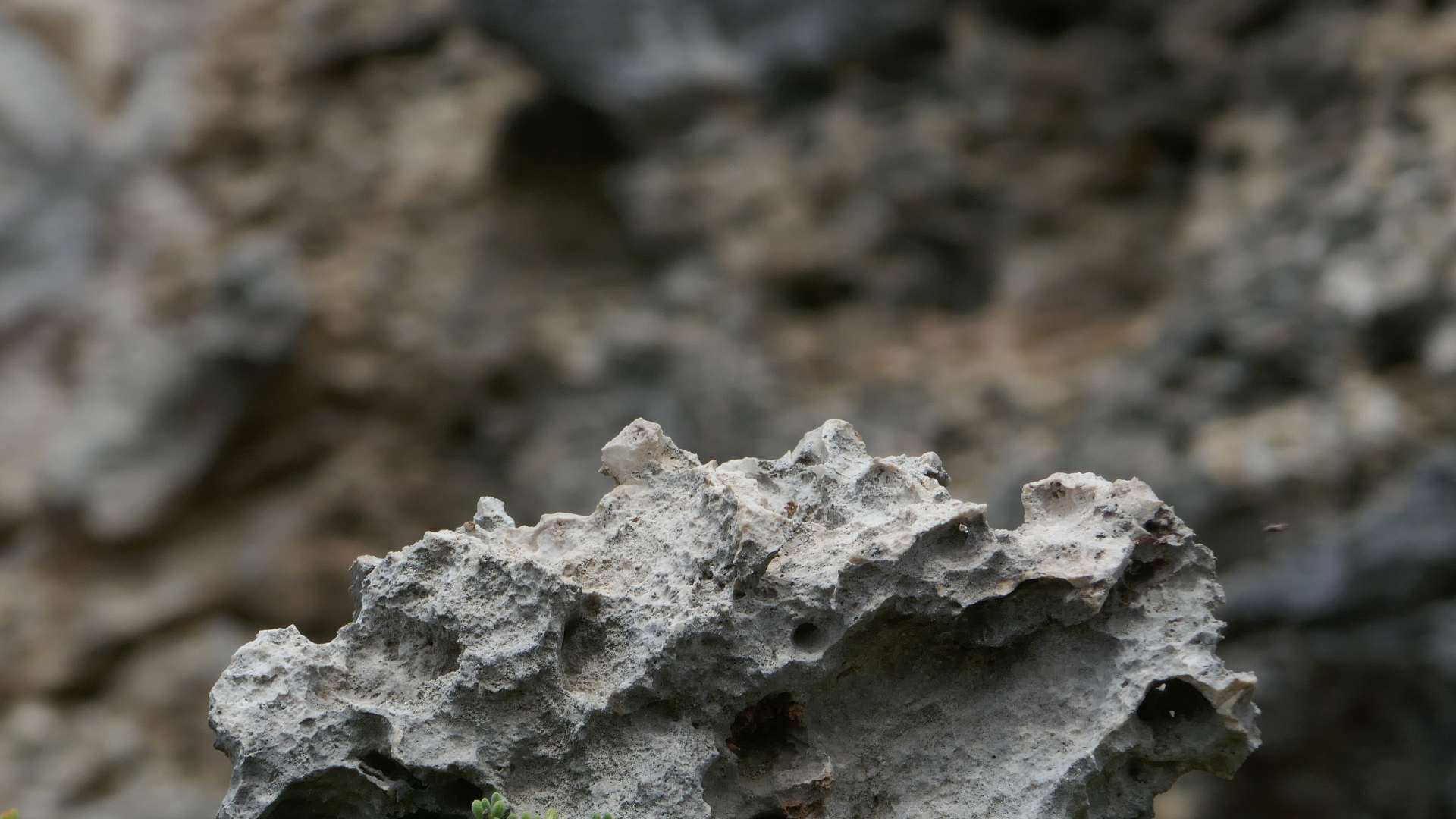 2022-04-23 Shete Boka Nationalpark (Foto, Video)