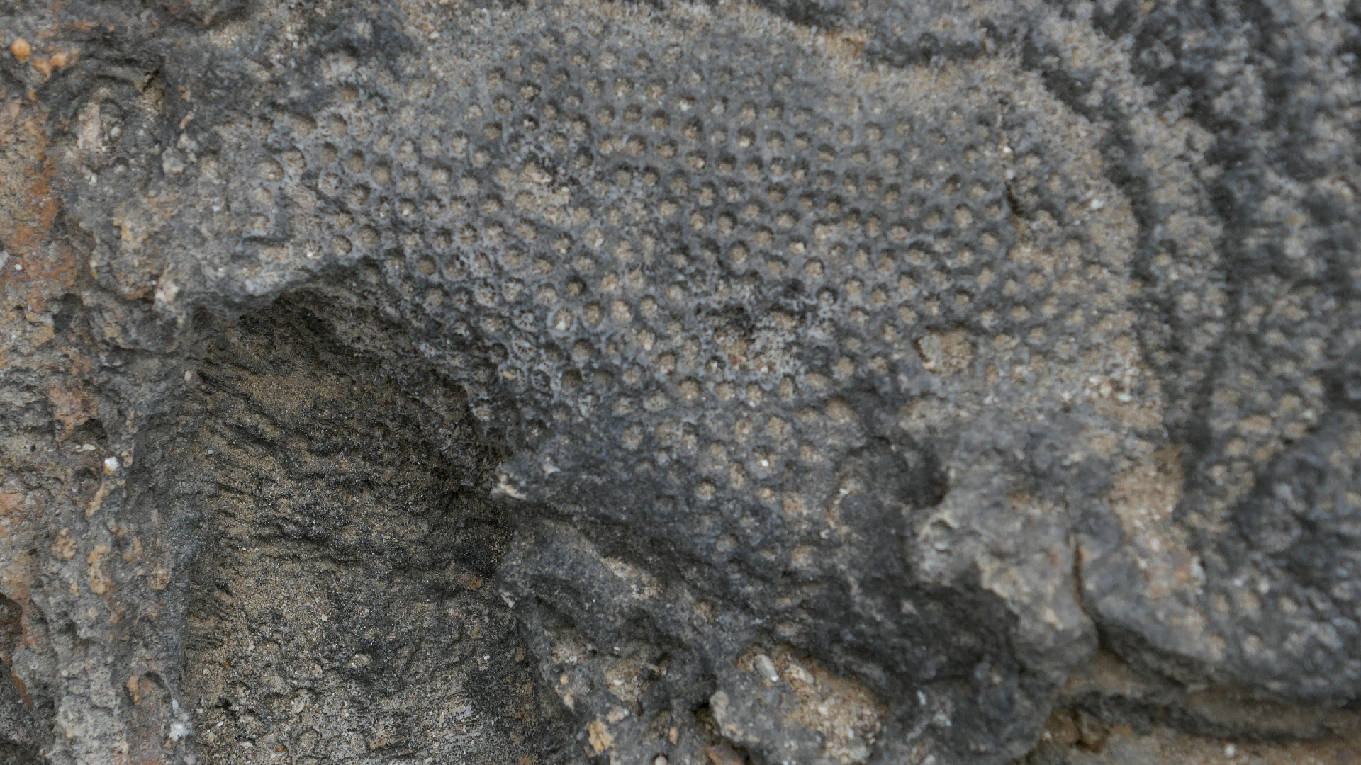 2022-04-23 Shete Boka Nationalpark (Foto, Video)