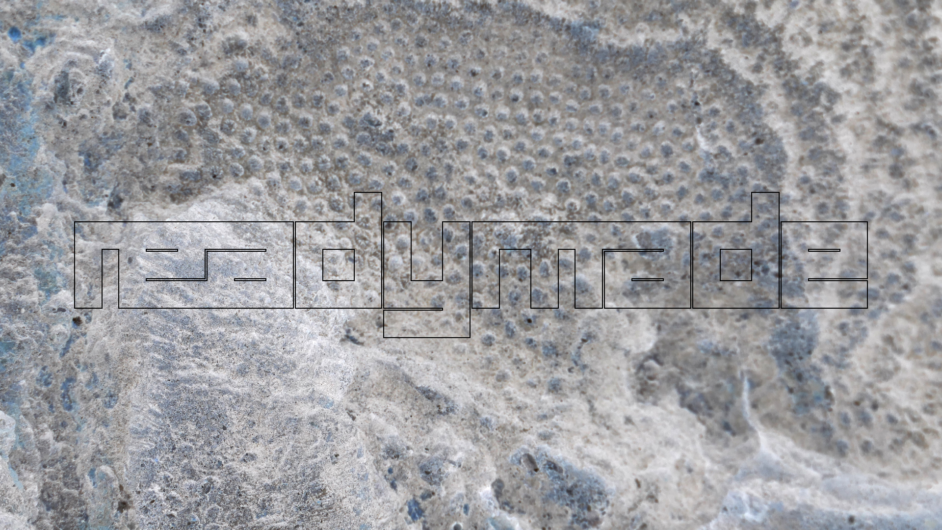 2022-04-23 Shete Boka Nationalpark (Foto, Video)