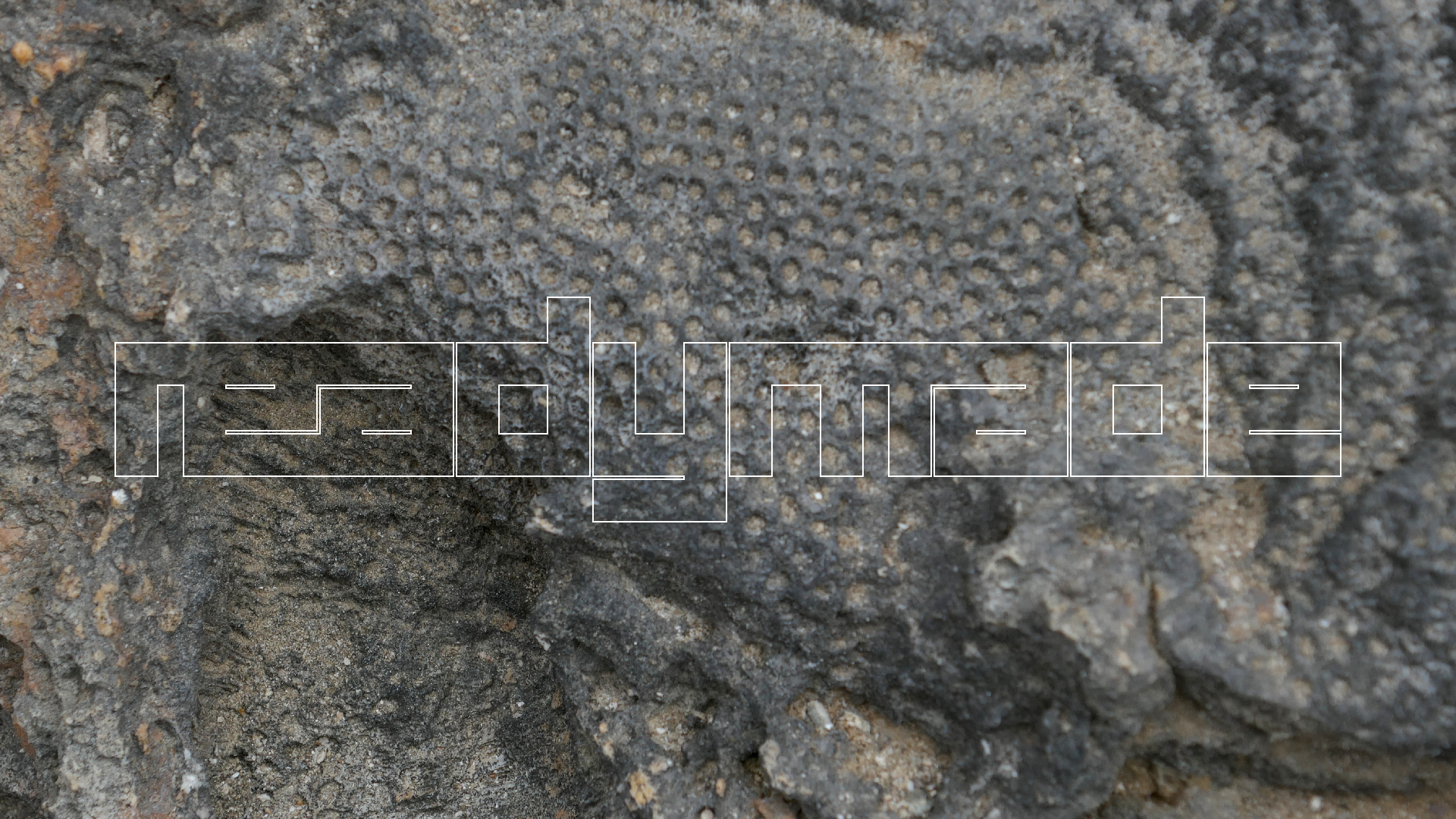 2022-04-23 Shete Boka Nationalpark (Foto, Video)