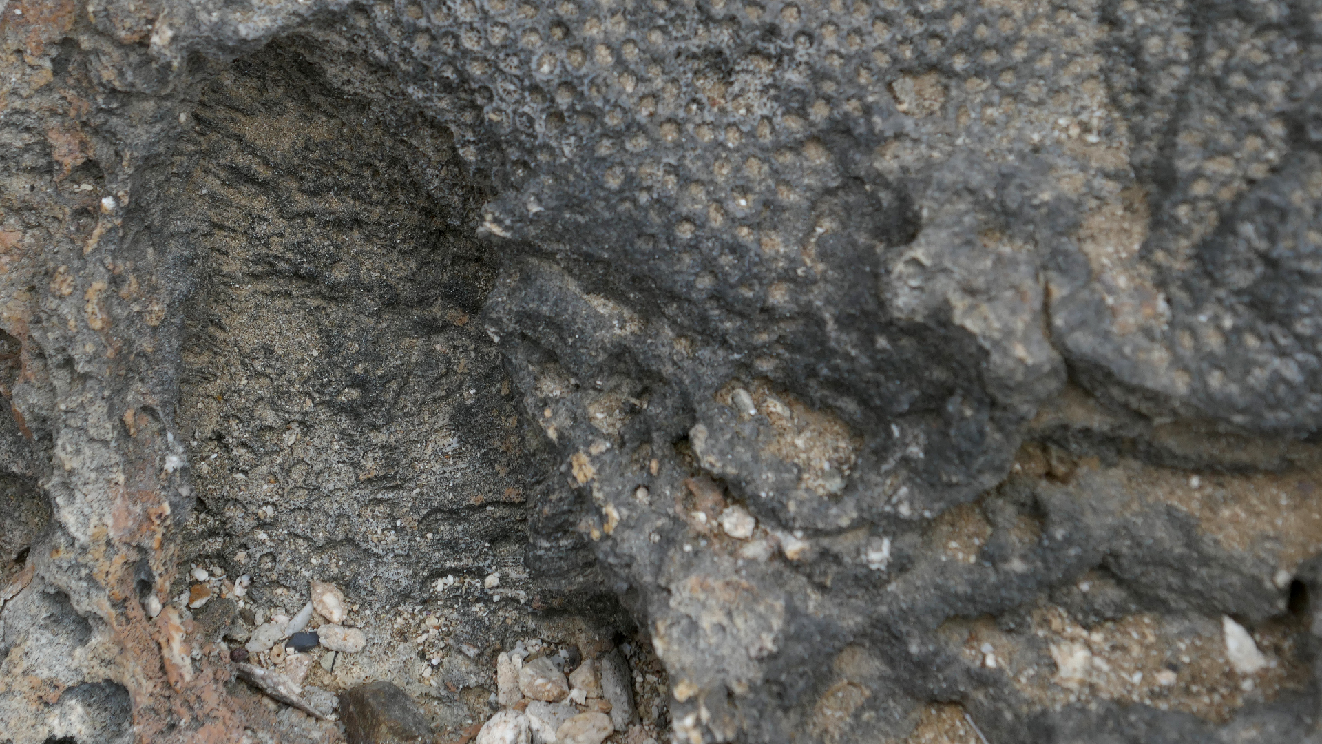 2022-04-23 Shete Boka Nationalpark (Foto, Video)