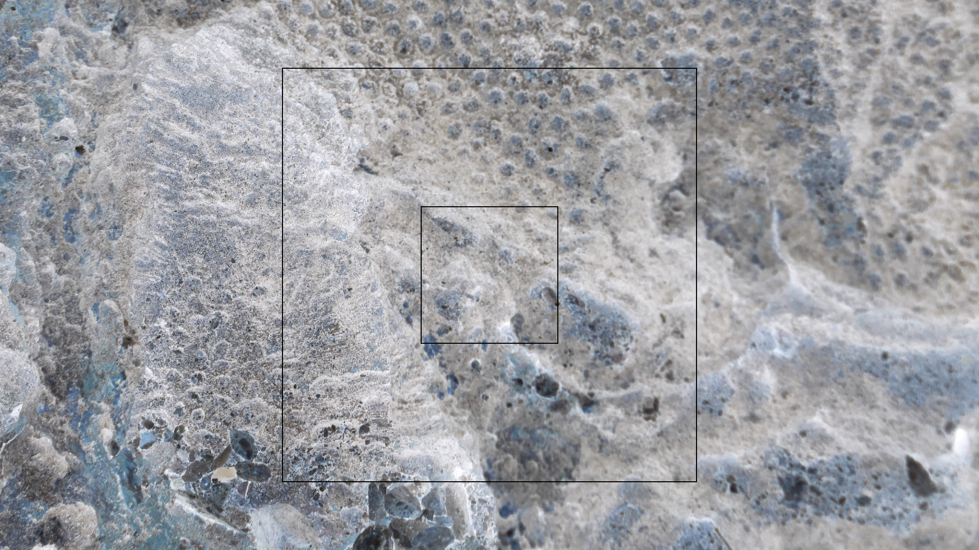 2022-04-23 Shete Boka Nationalpark (Foto, Video)