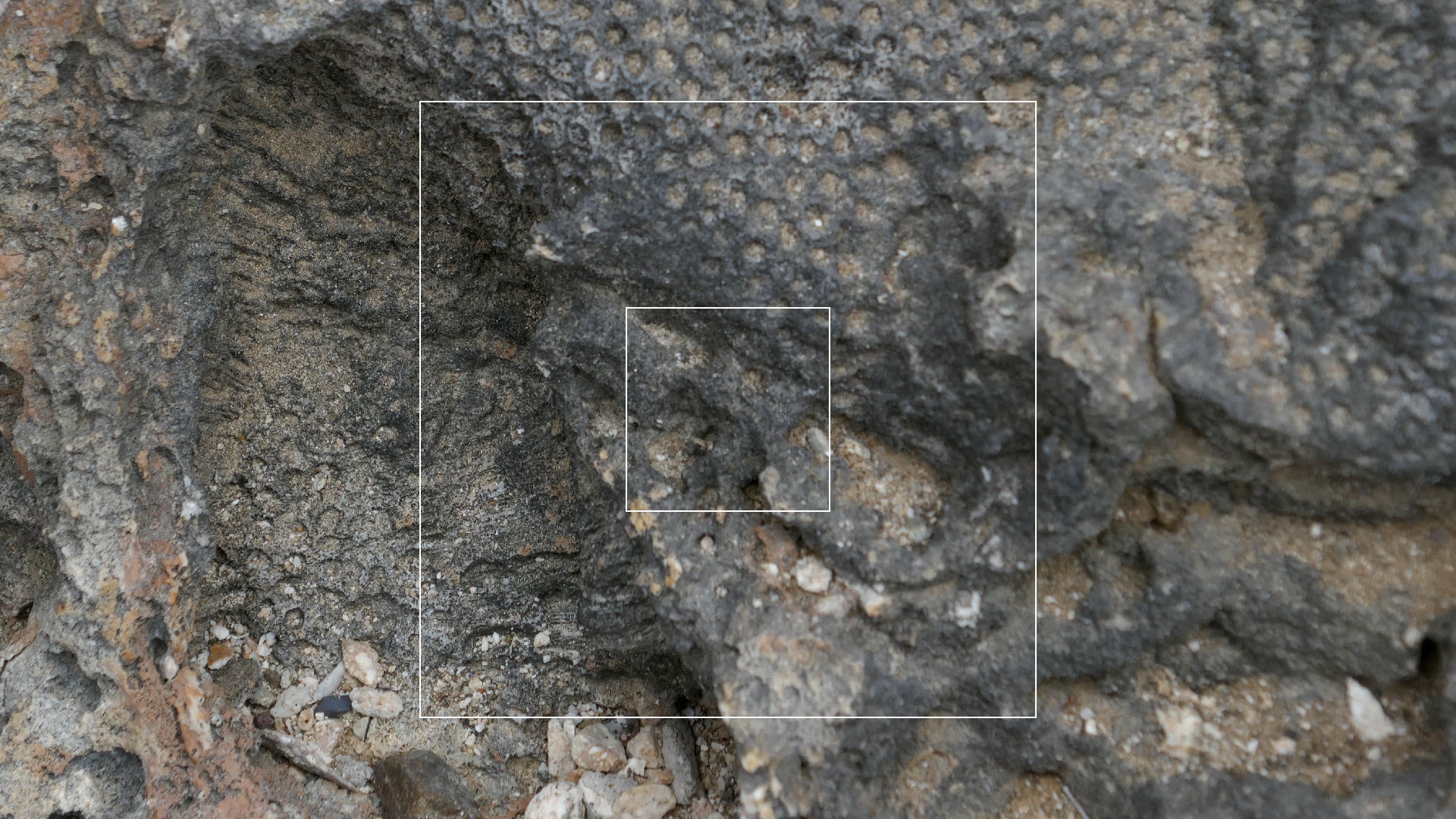 2022-04-23 Shete Boka Nationalpark (Foto, Video)