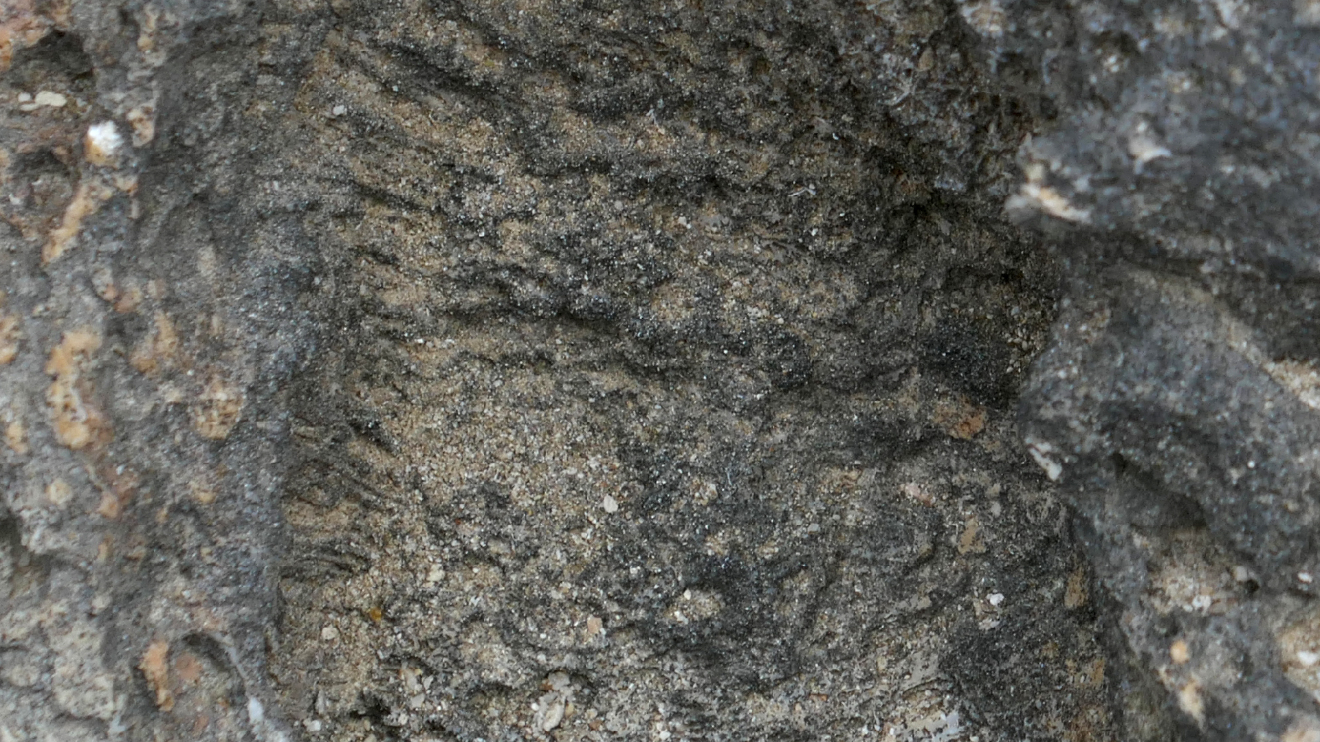 2022-04-23 Shete Boka Nationalpark (Foto, Video)