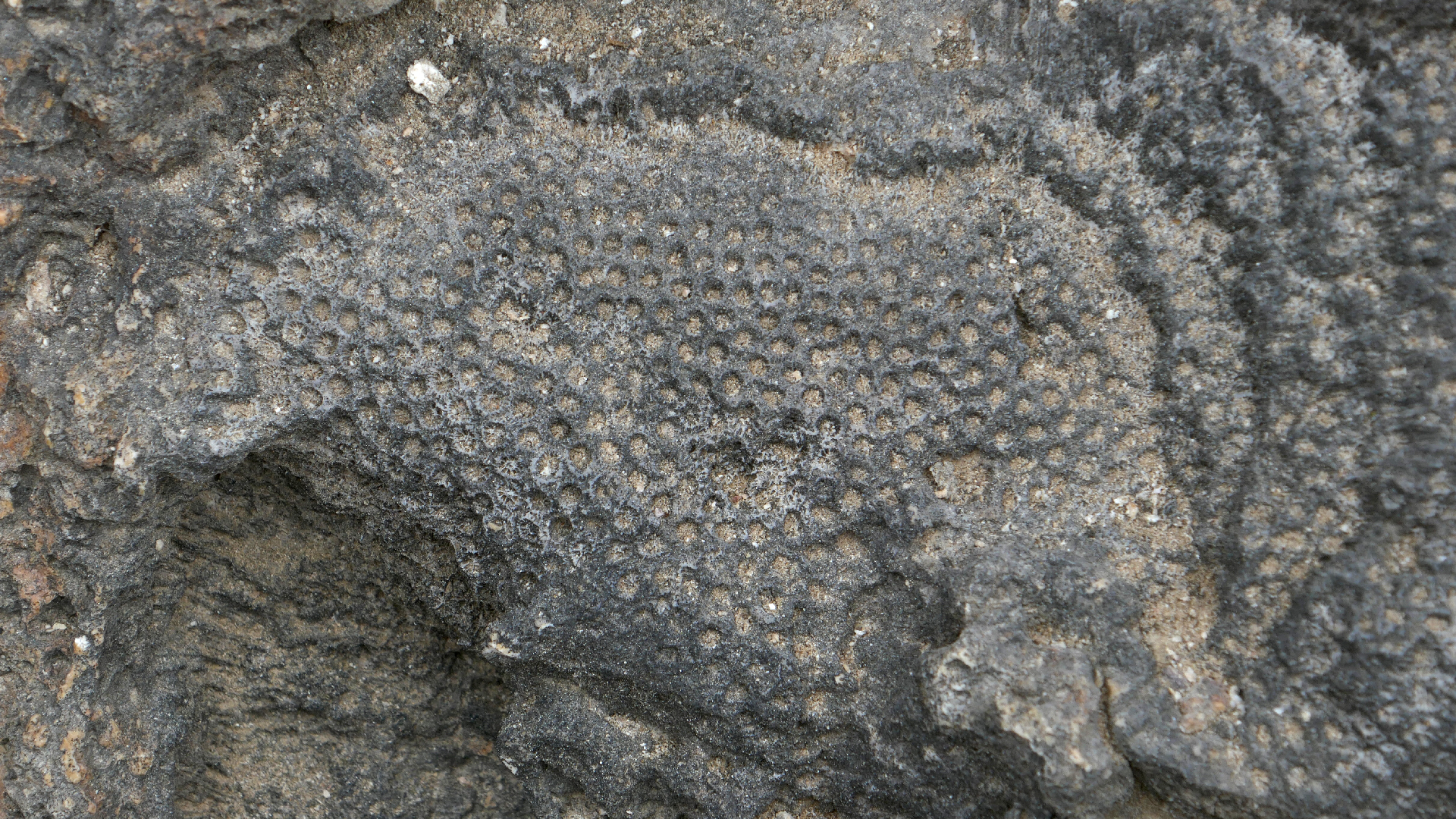 2022-04-23 Shete Boka Nationalpark (Foto, Video)