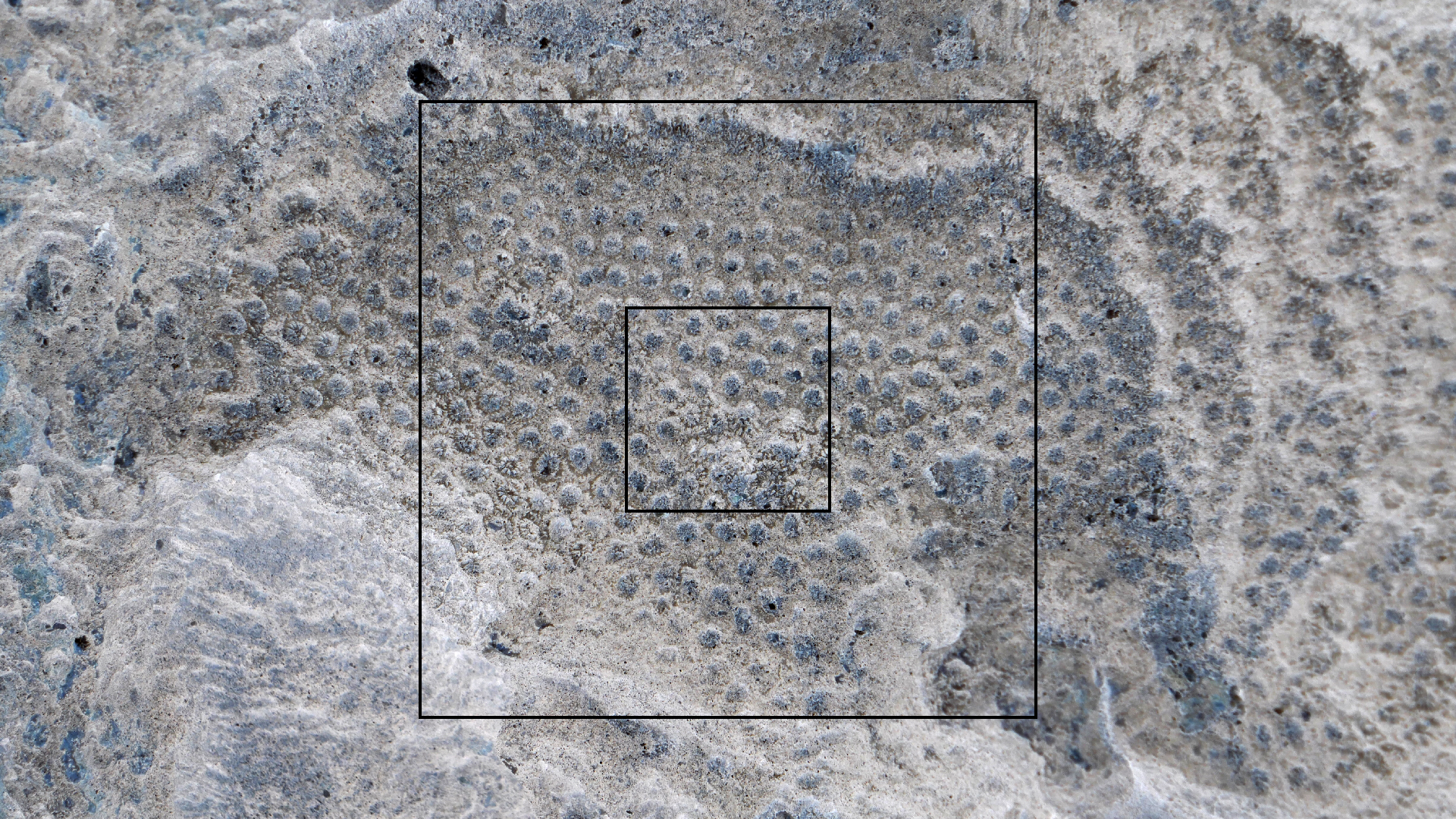 2022-04-23 Shete Boka Nationalpark (Foto, Video)