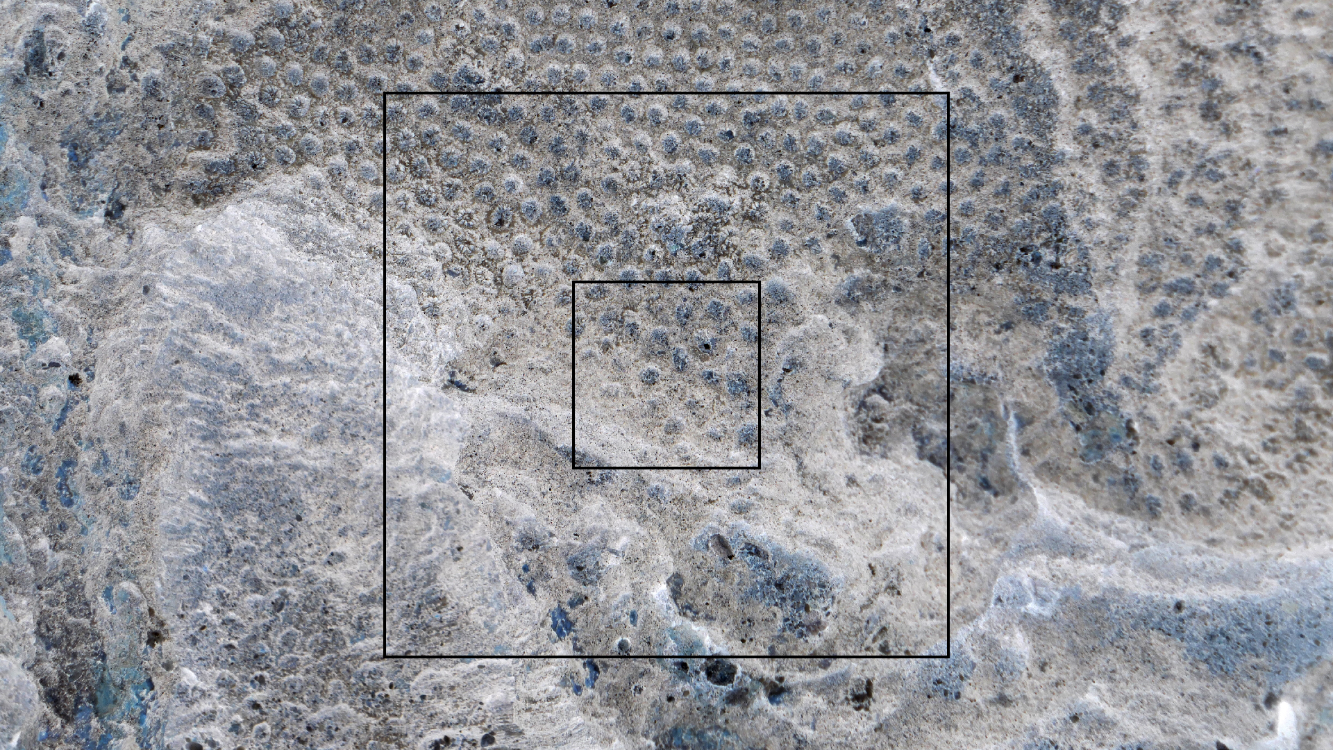 2022-04-23 Shete Boka Nationalpark (Foto, Video)