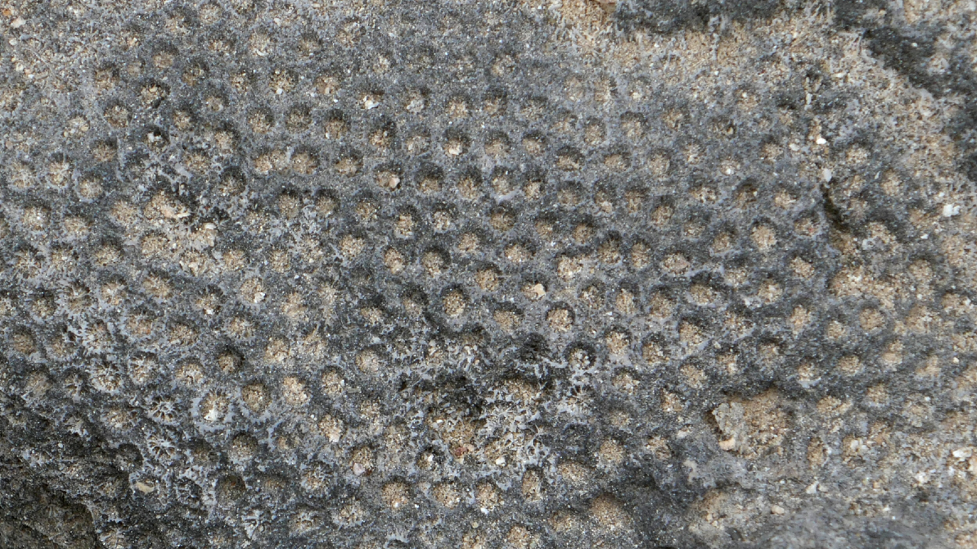 2022-04-23 Shete Boka Nationalpark (Foto, Video)