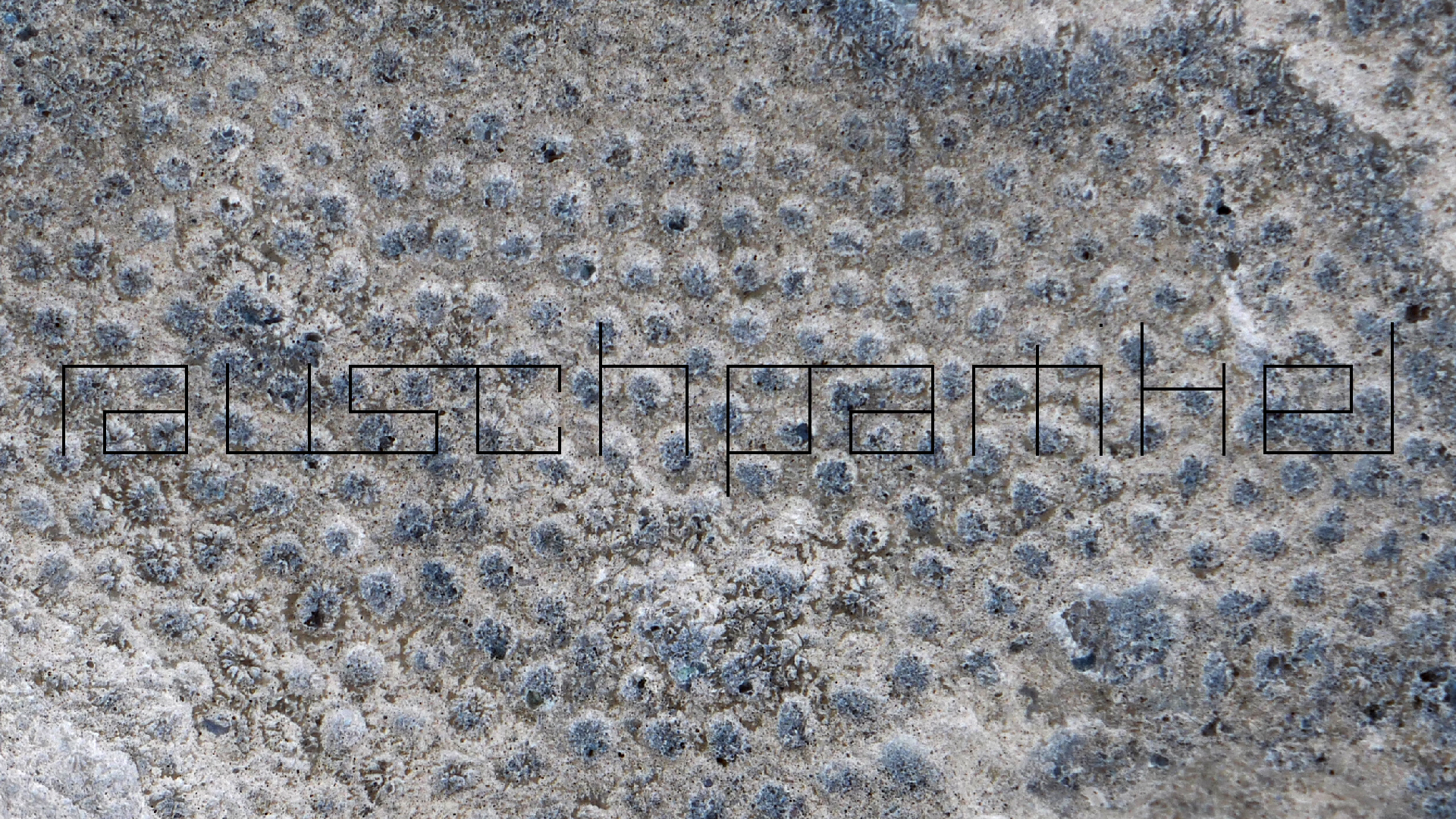 2022-04-23 Shete Boka Nationalpark (Foto, Video)